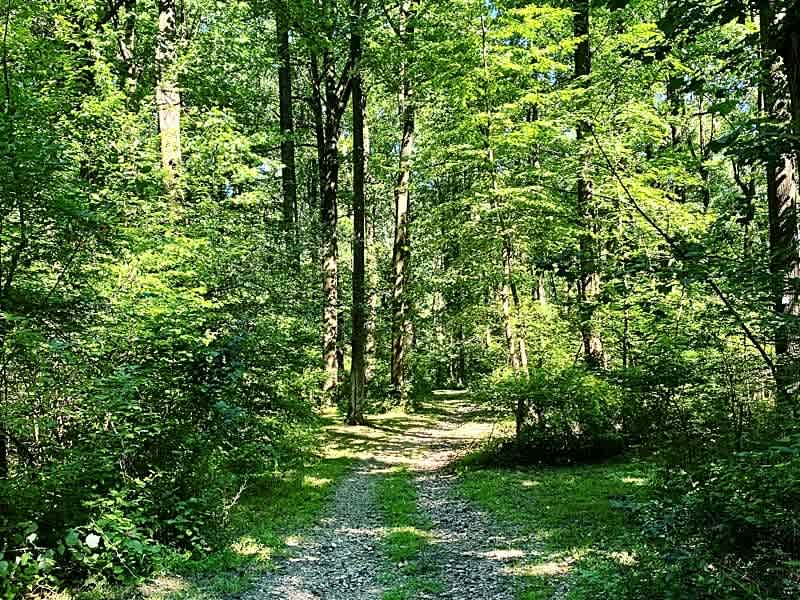 Jugtown Mountain Campsites