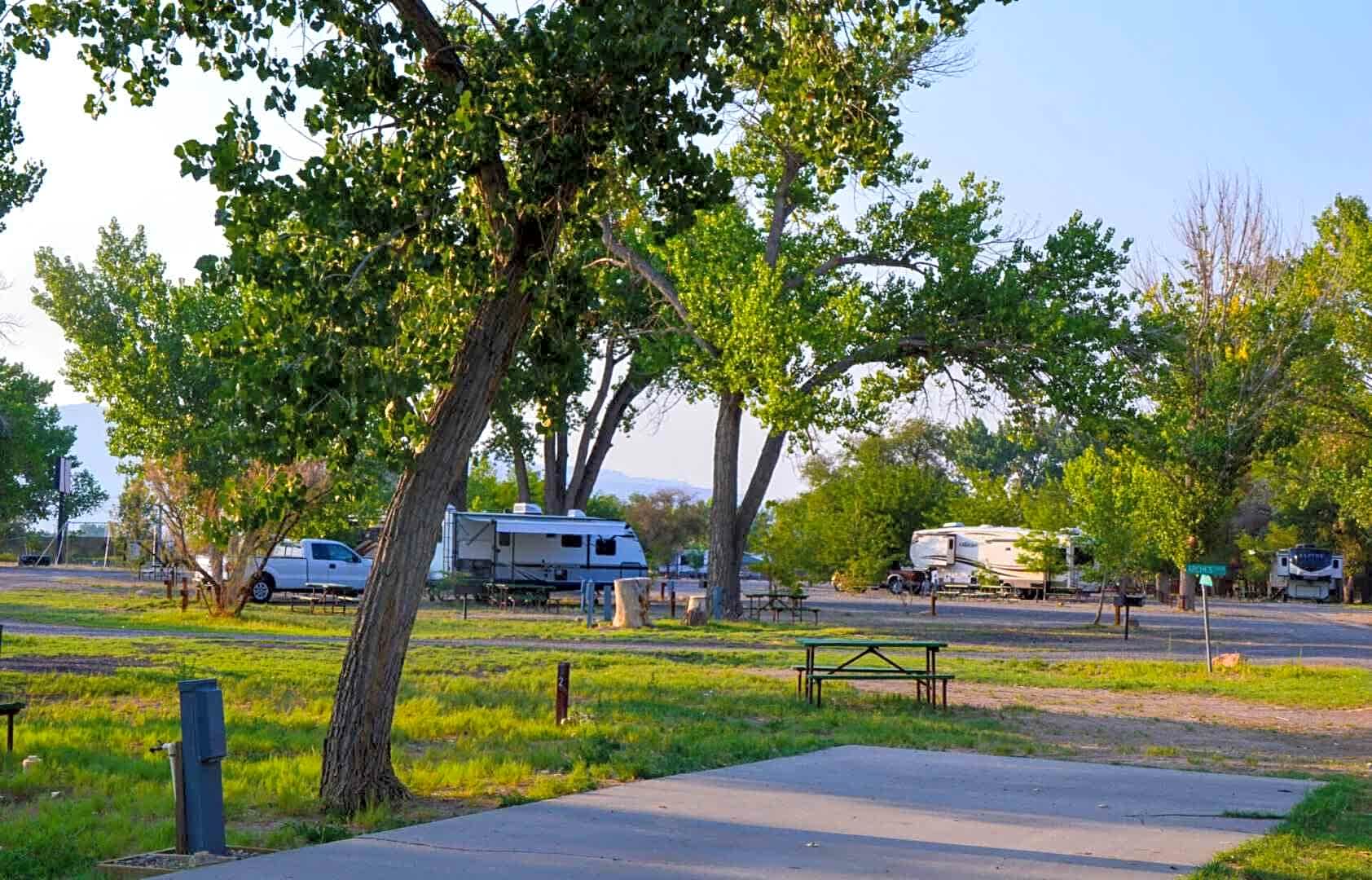 Shady Acres