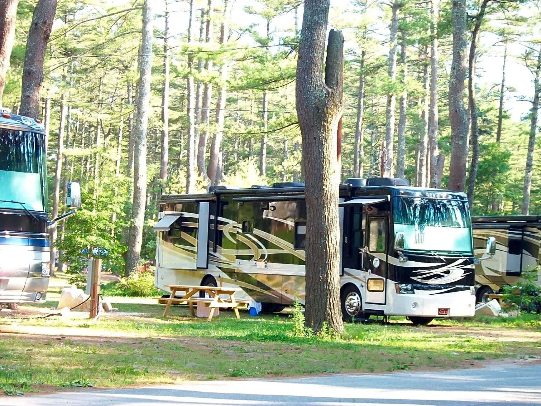 Pinewood Lodge Campground