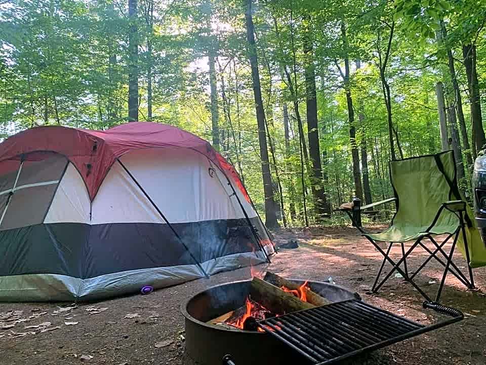 Tree Farm Campground