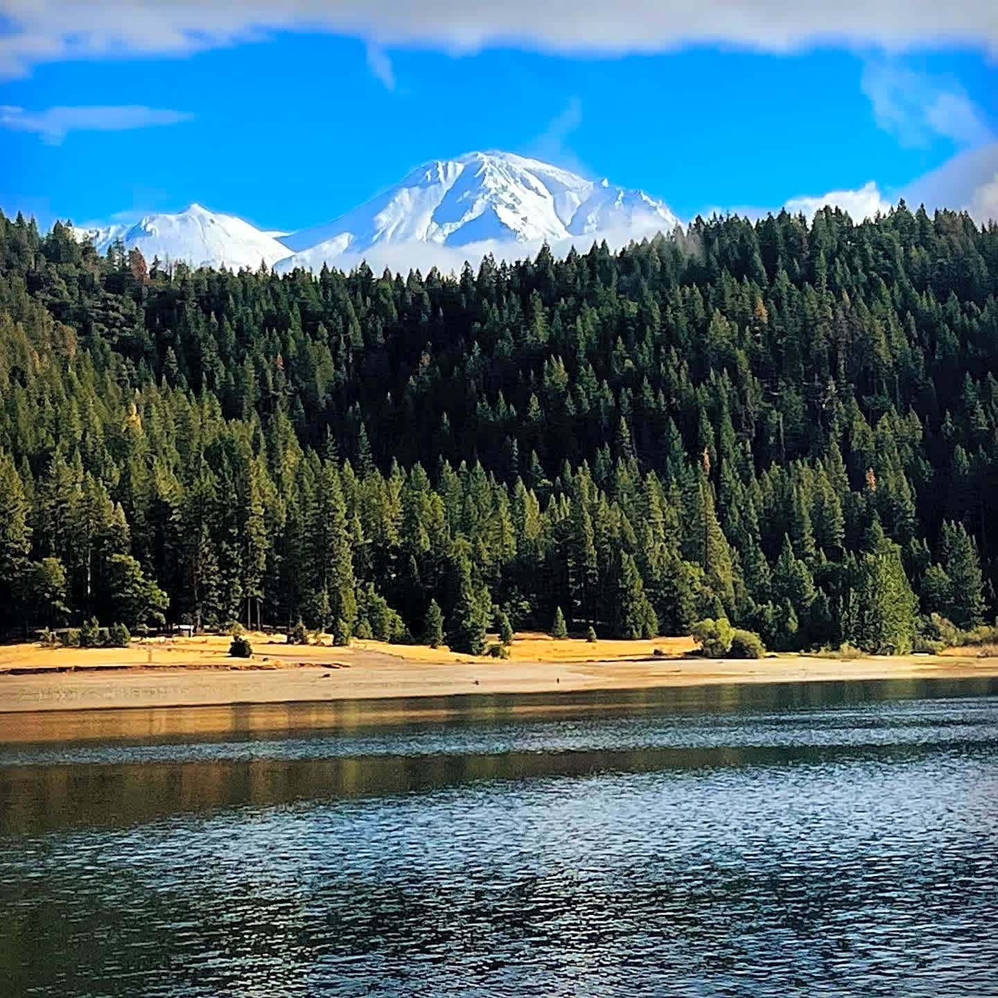 Lake Siskiyou Camp Resort