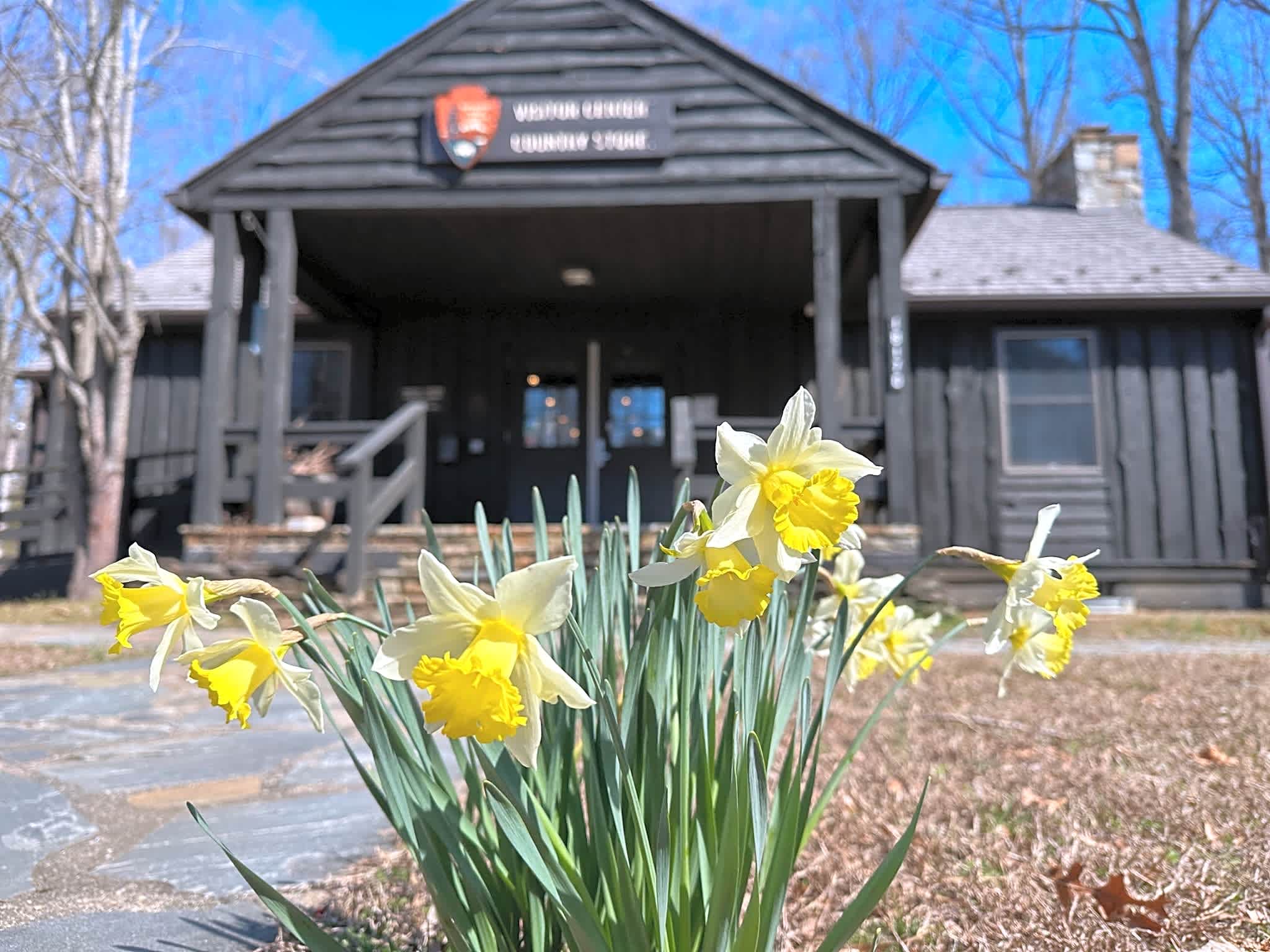 Prince William Forest RV Campground