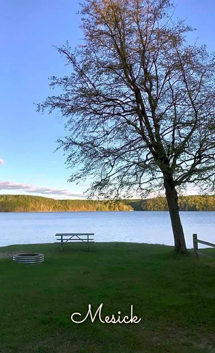 Northern Exposure Campground