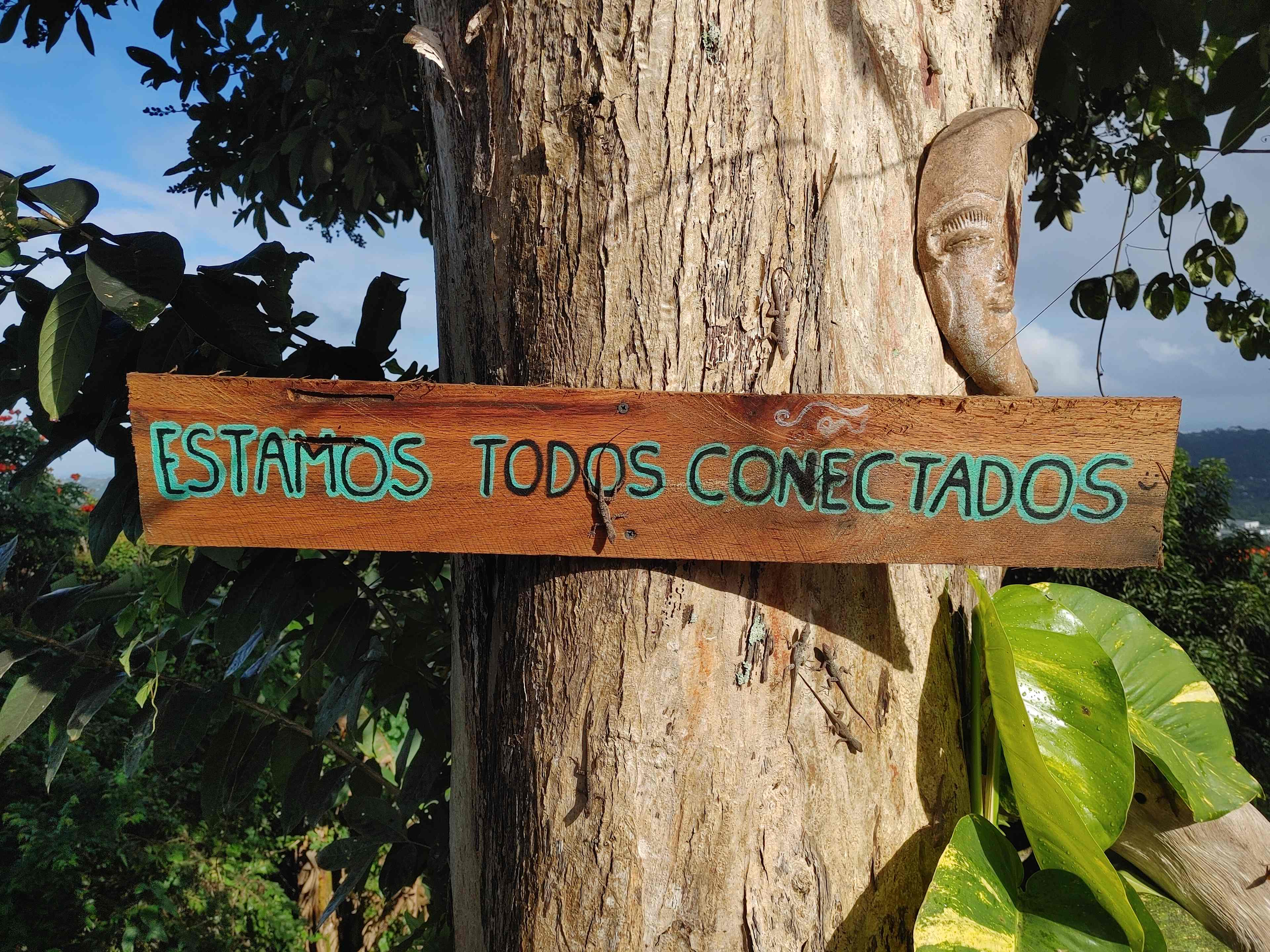 Mi Casa Eco-Camping