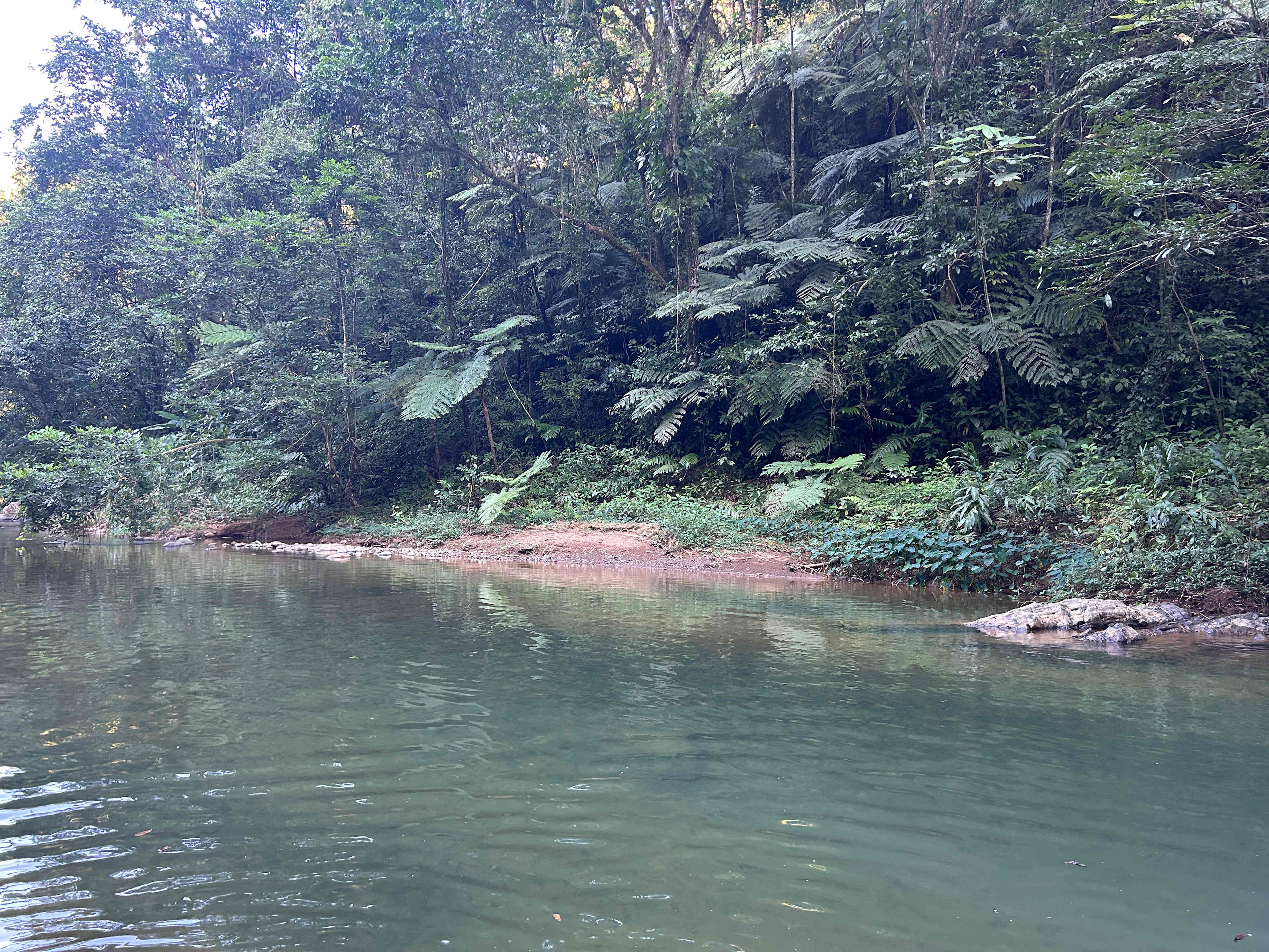 Finca Sajorí