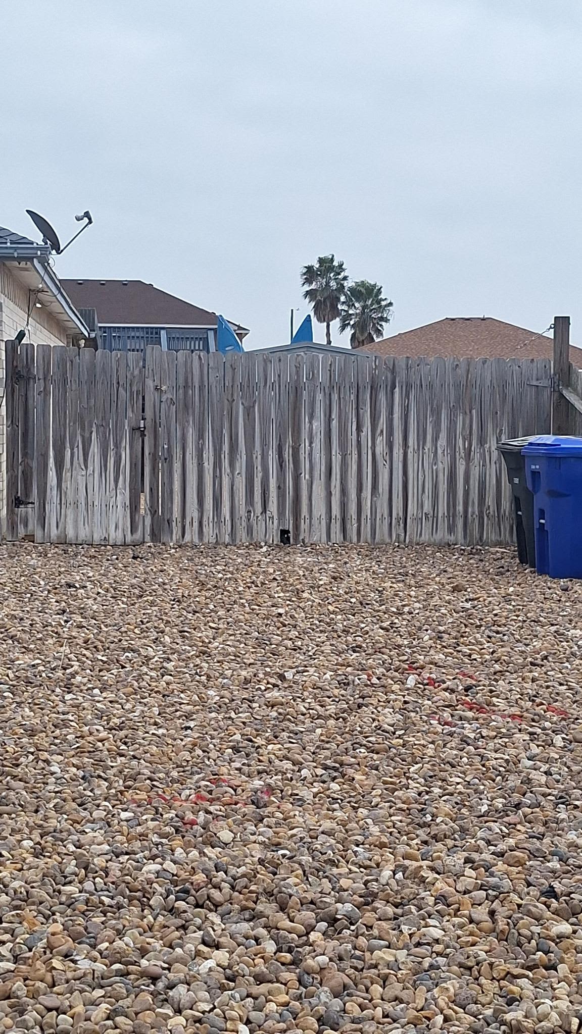 North South Padre Island Paradise