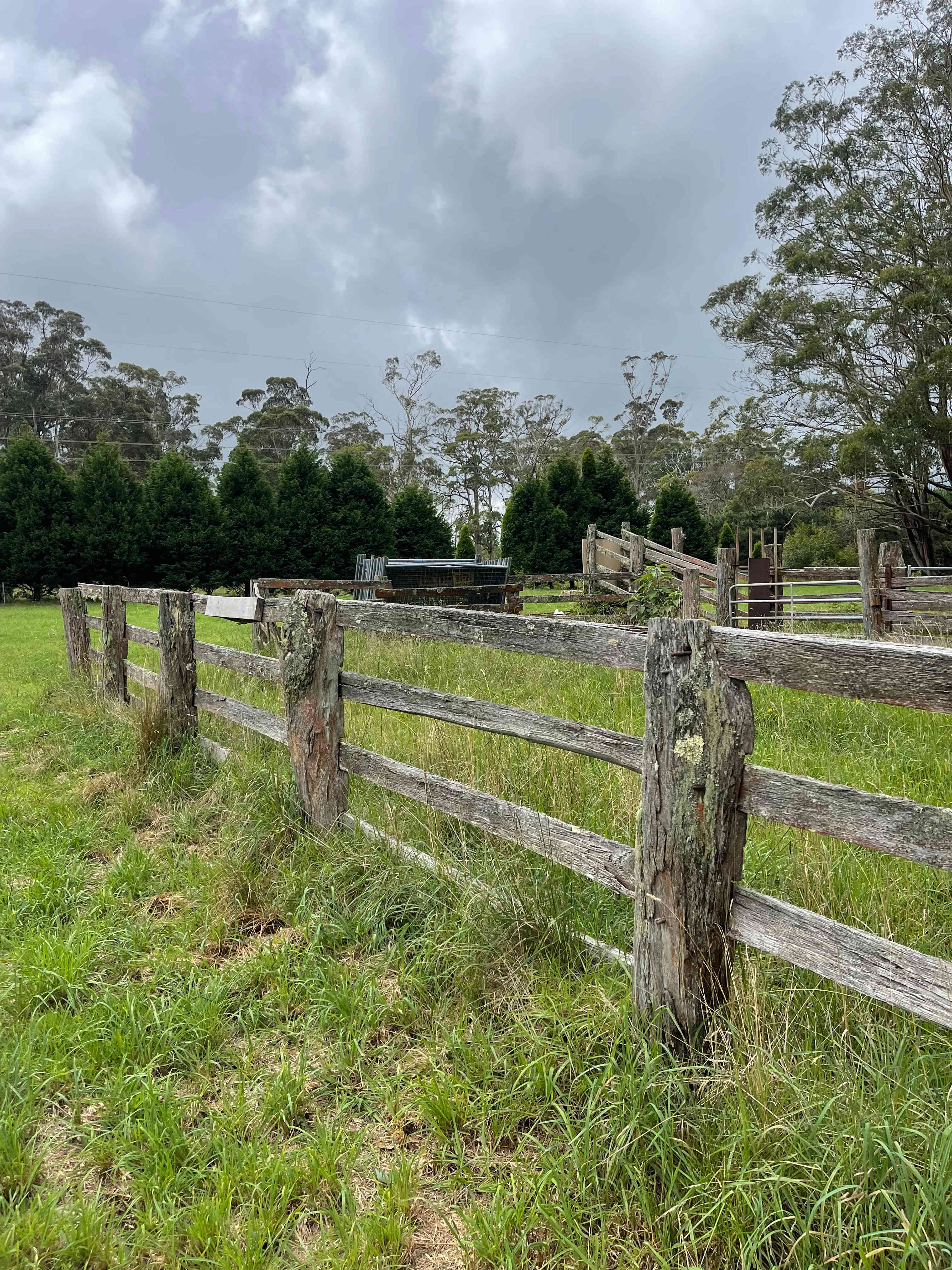 Misty Farm