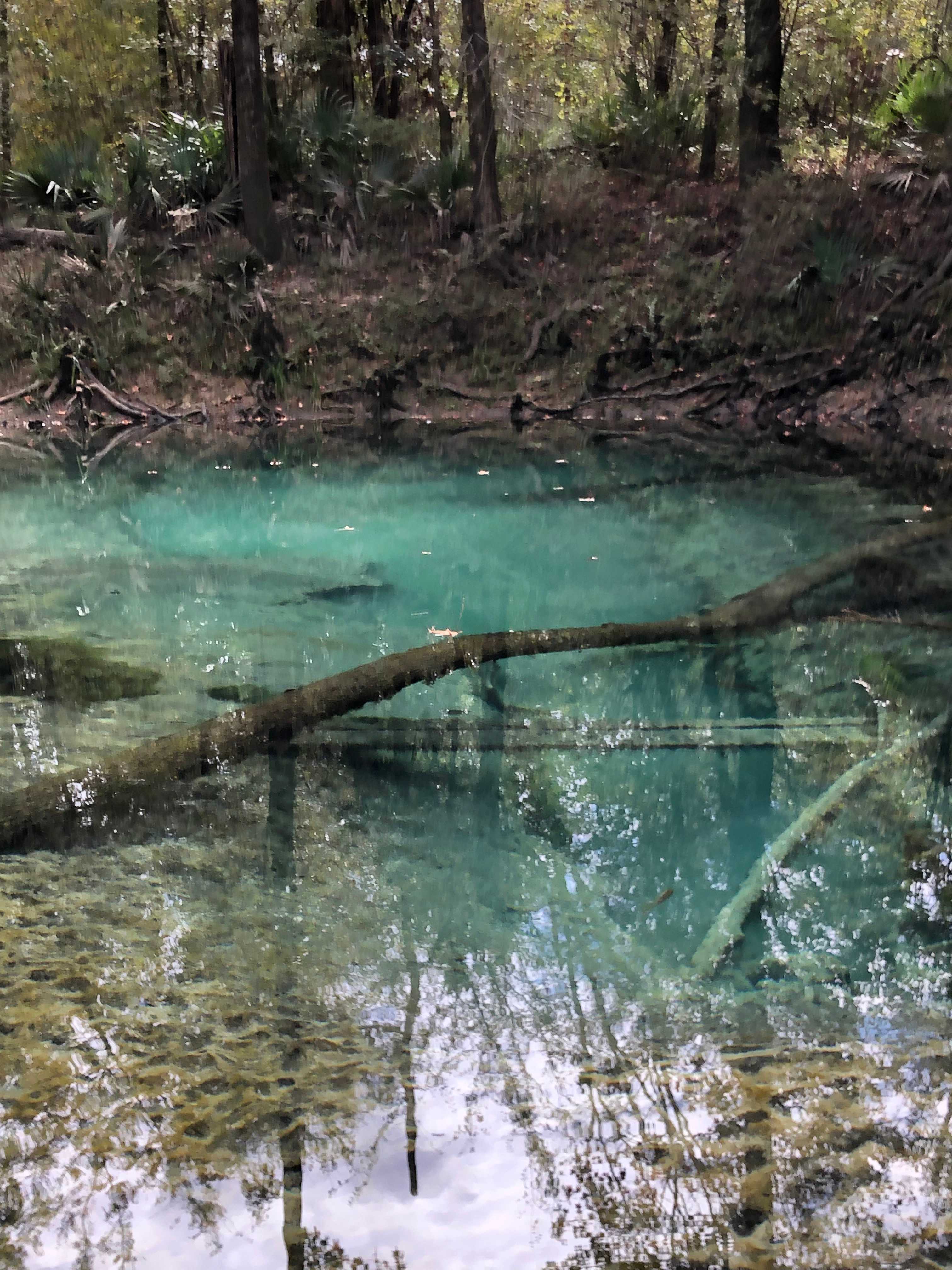 The Spring