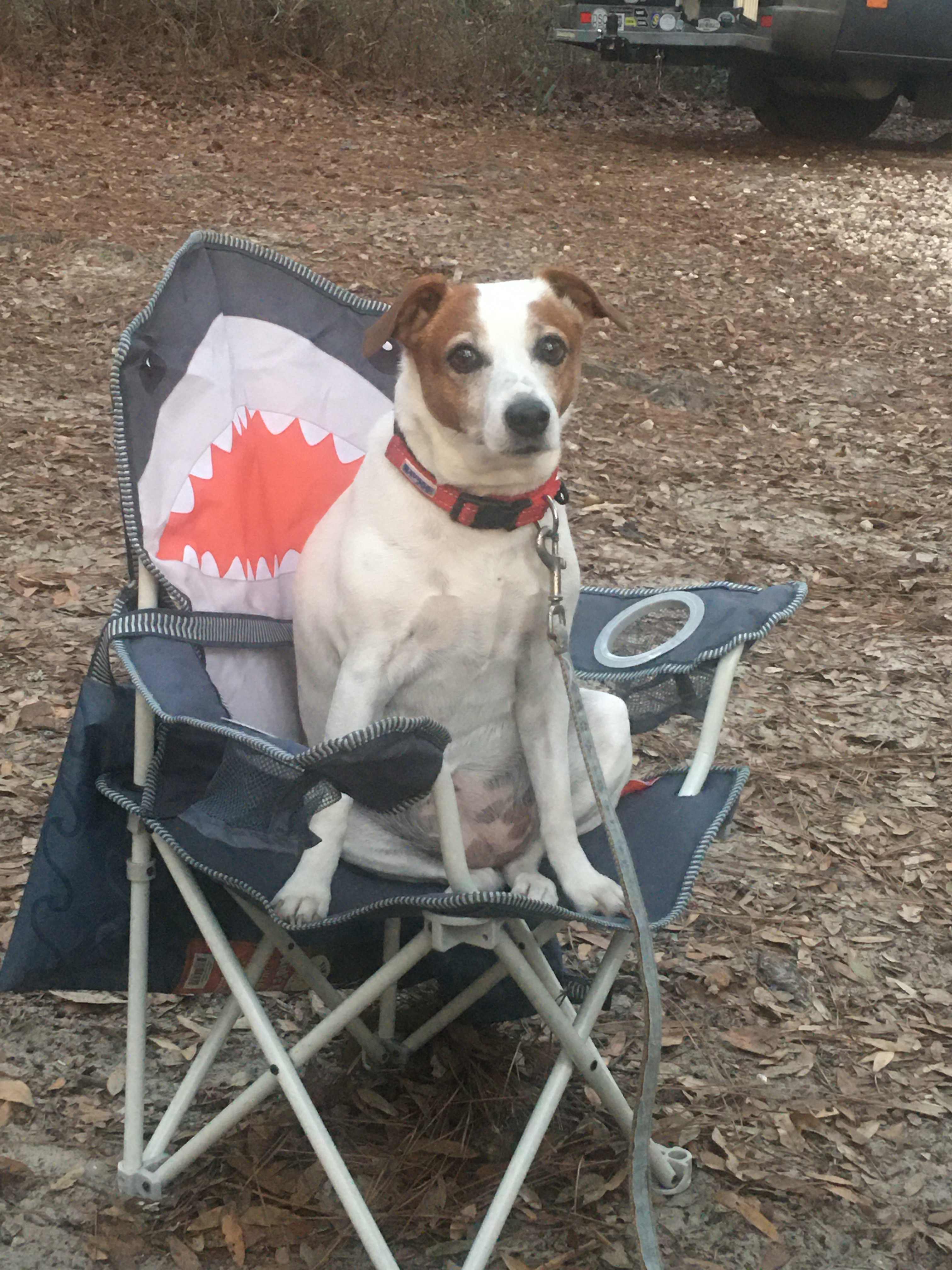 Lady Winona's Camp