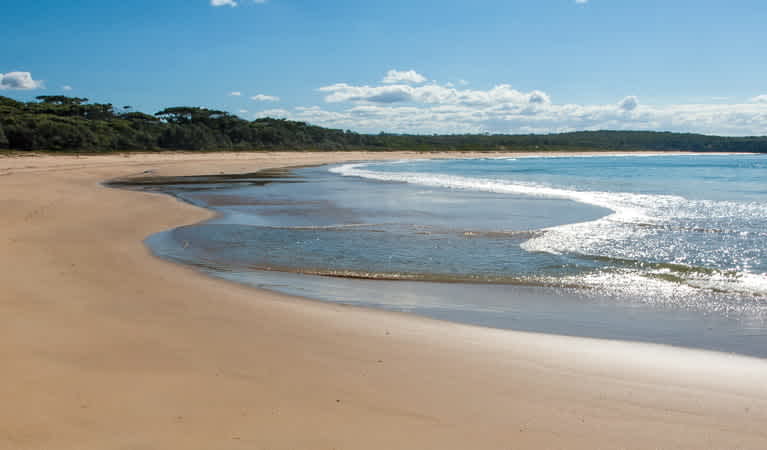 Meroo Head campground