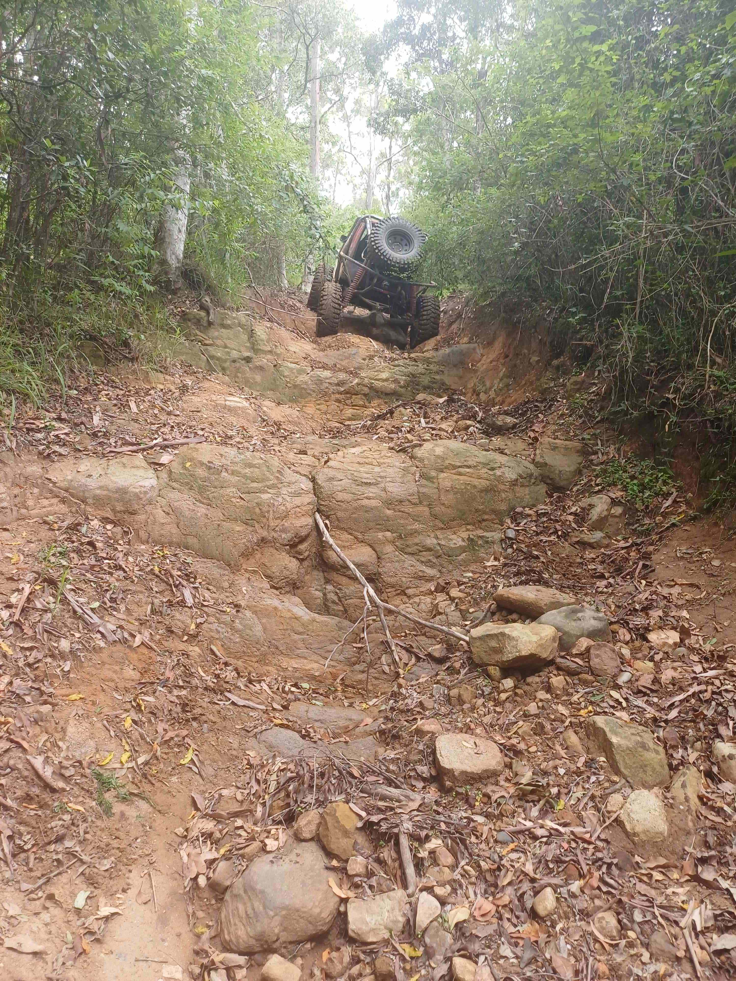 Adventure Park Scenic Rim