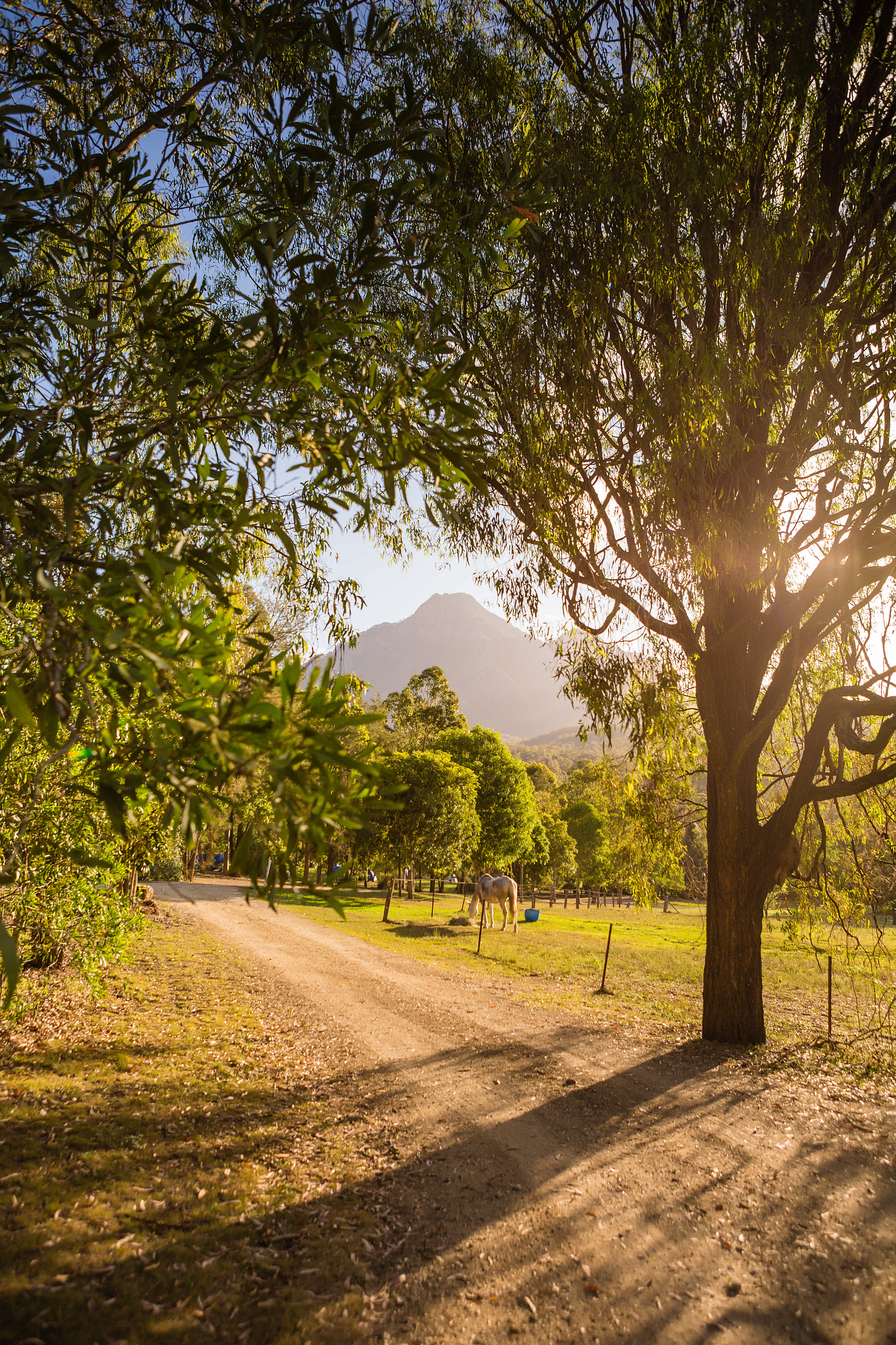 Mt Barney Lodge Eco Retreat