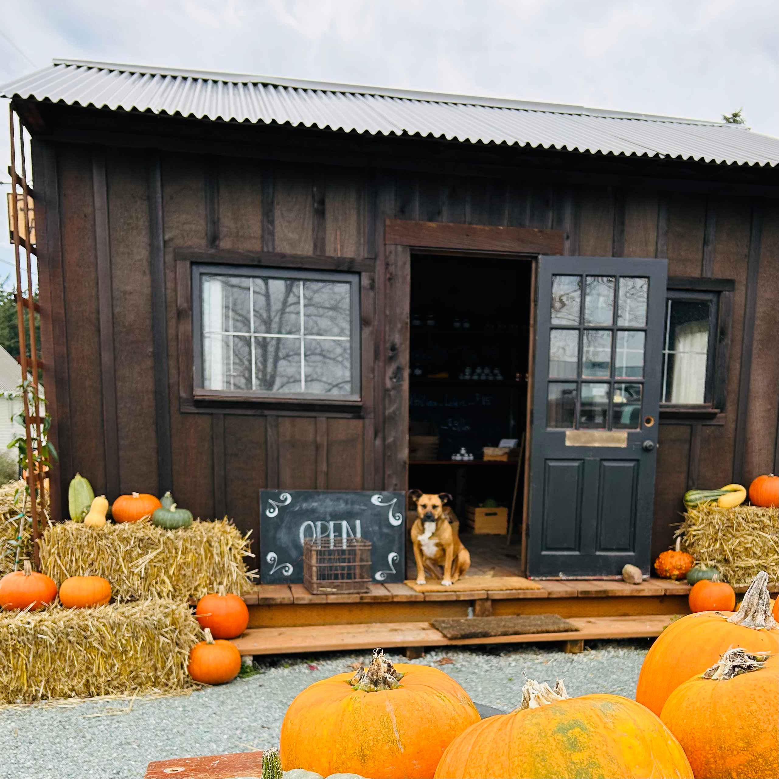 Swan House Farm