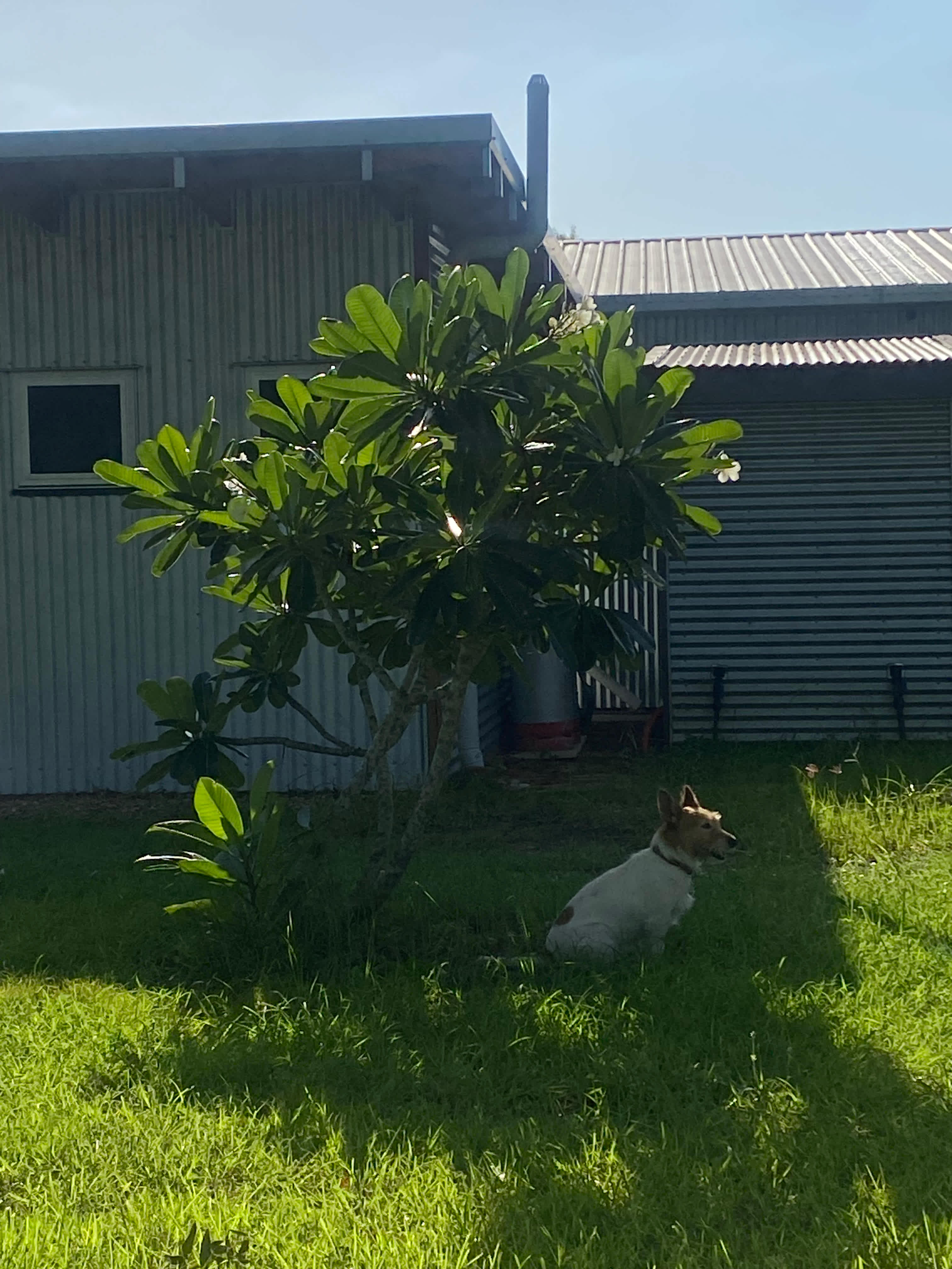 Laurel Bank Farm