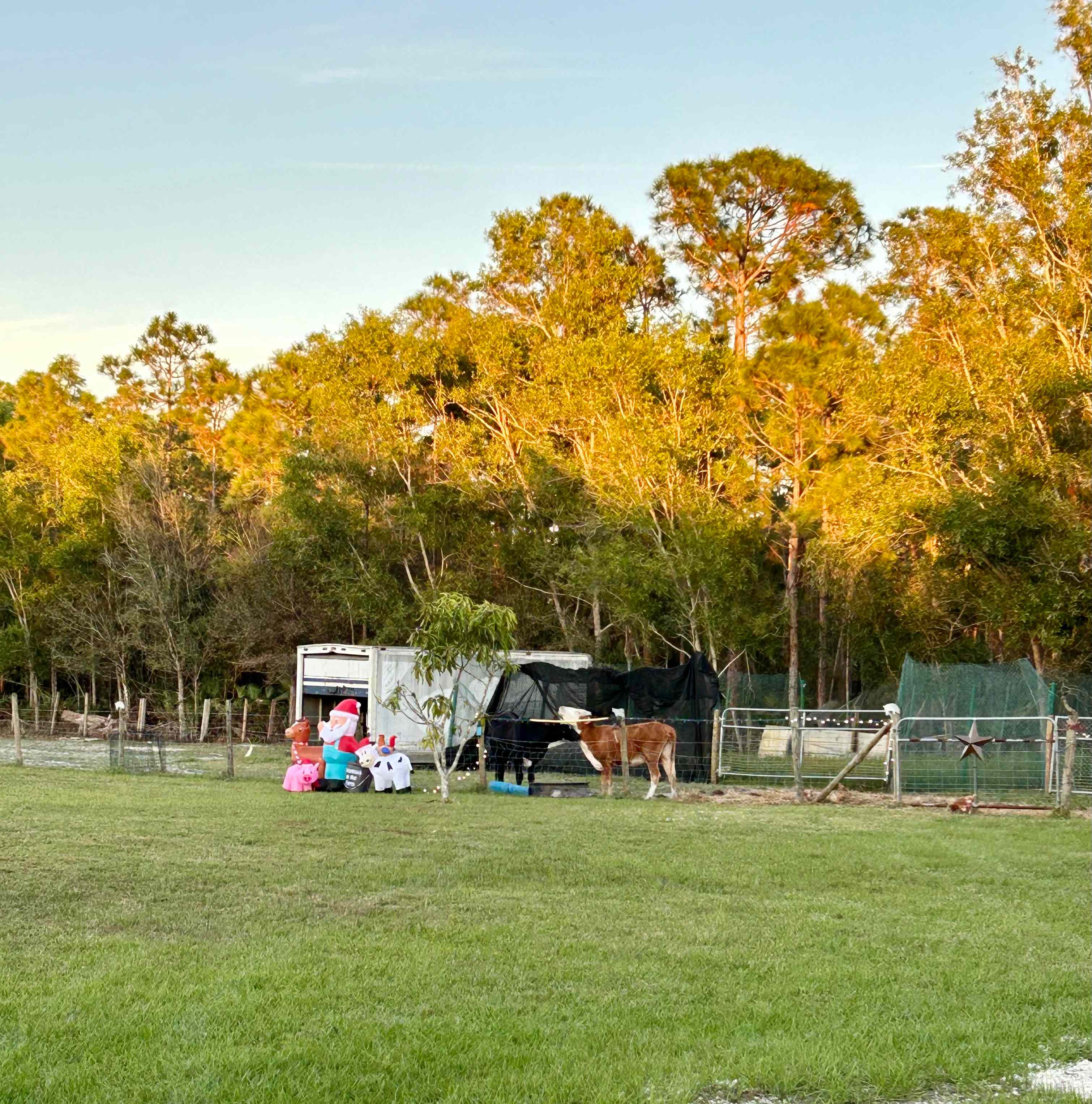 Golden Gate Farm