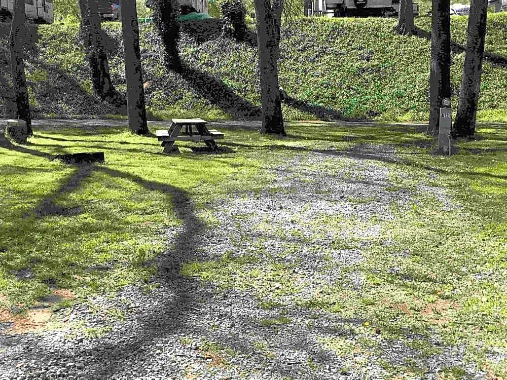 Pull-Thru Lower Level RV Site