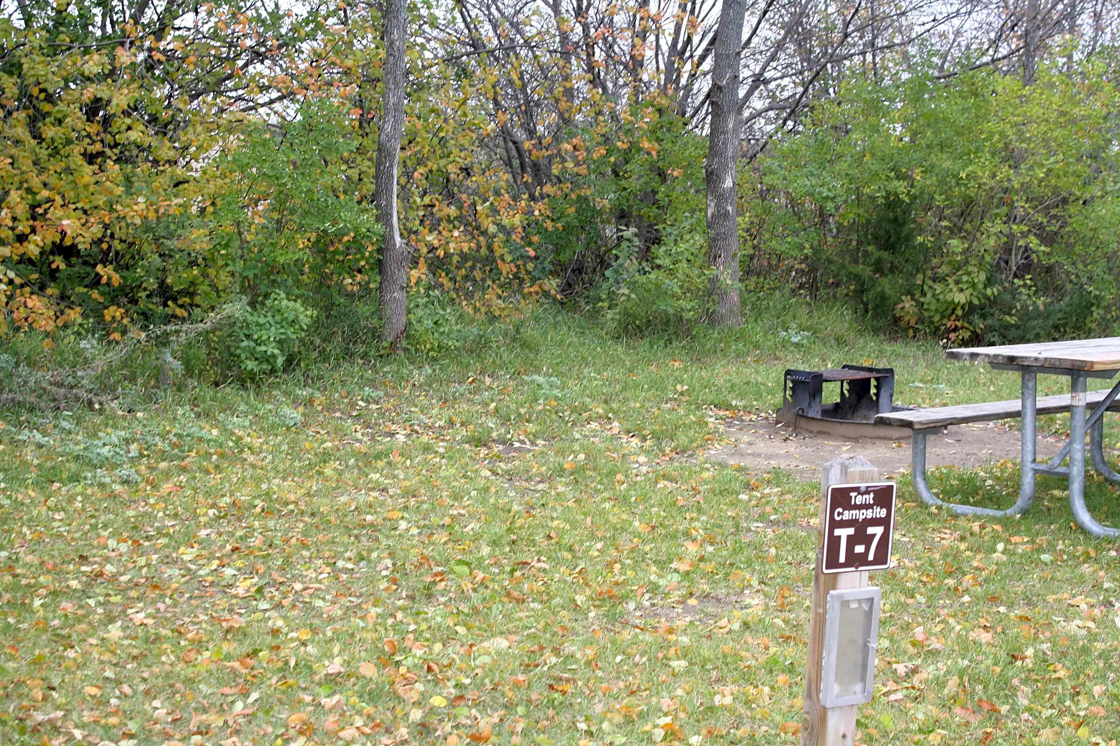 North Campground Rustic Tenting Sites