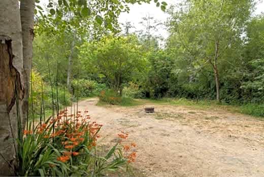 Riverwoods Remote Tent Site