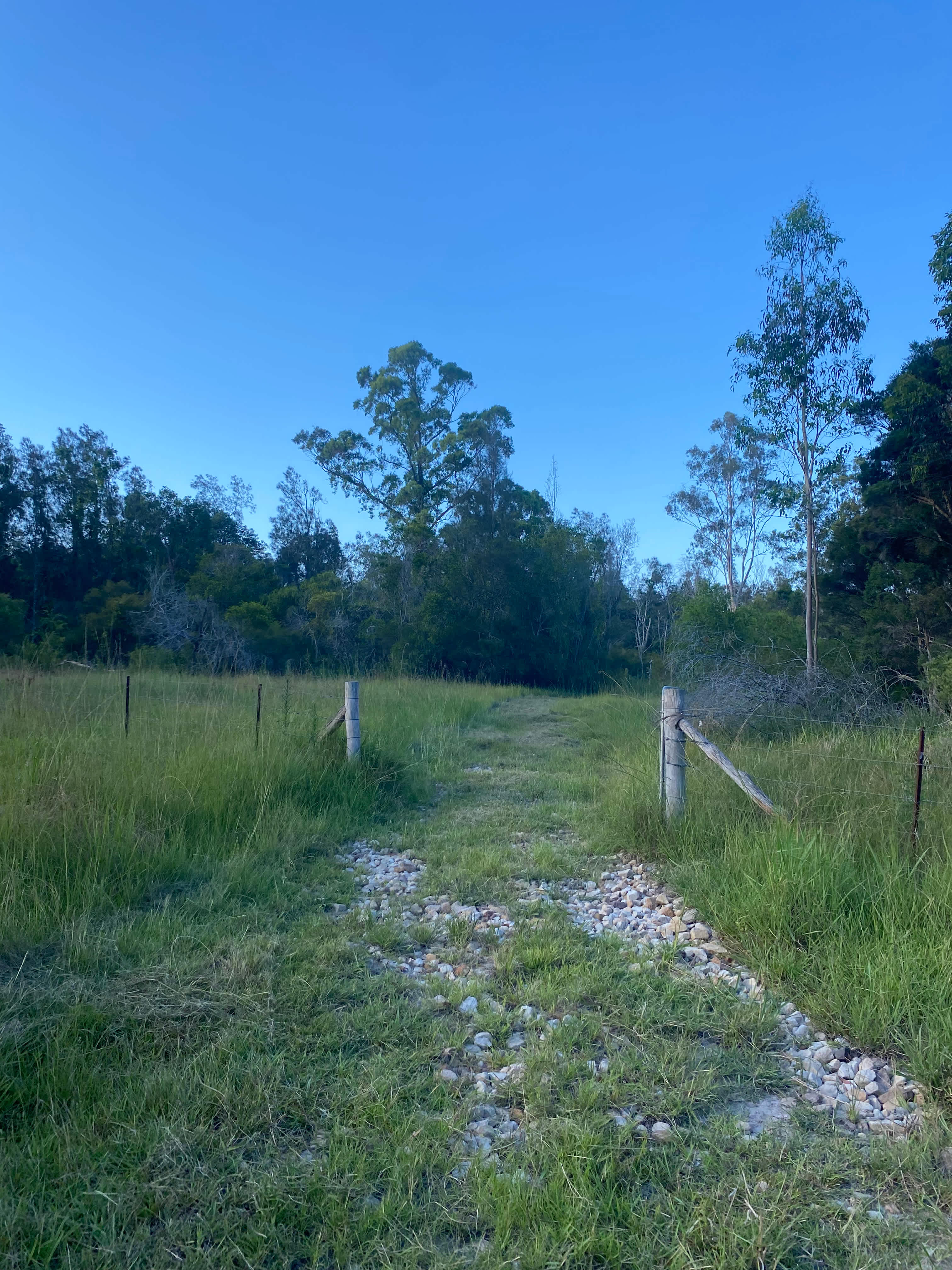 Chaffin Creek Farm