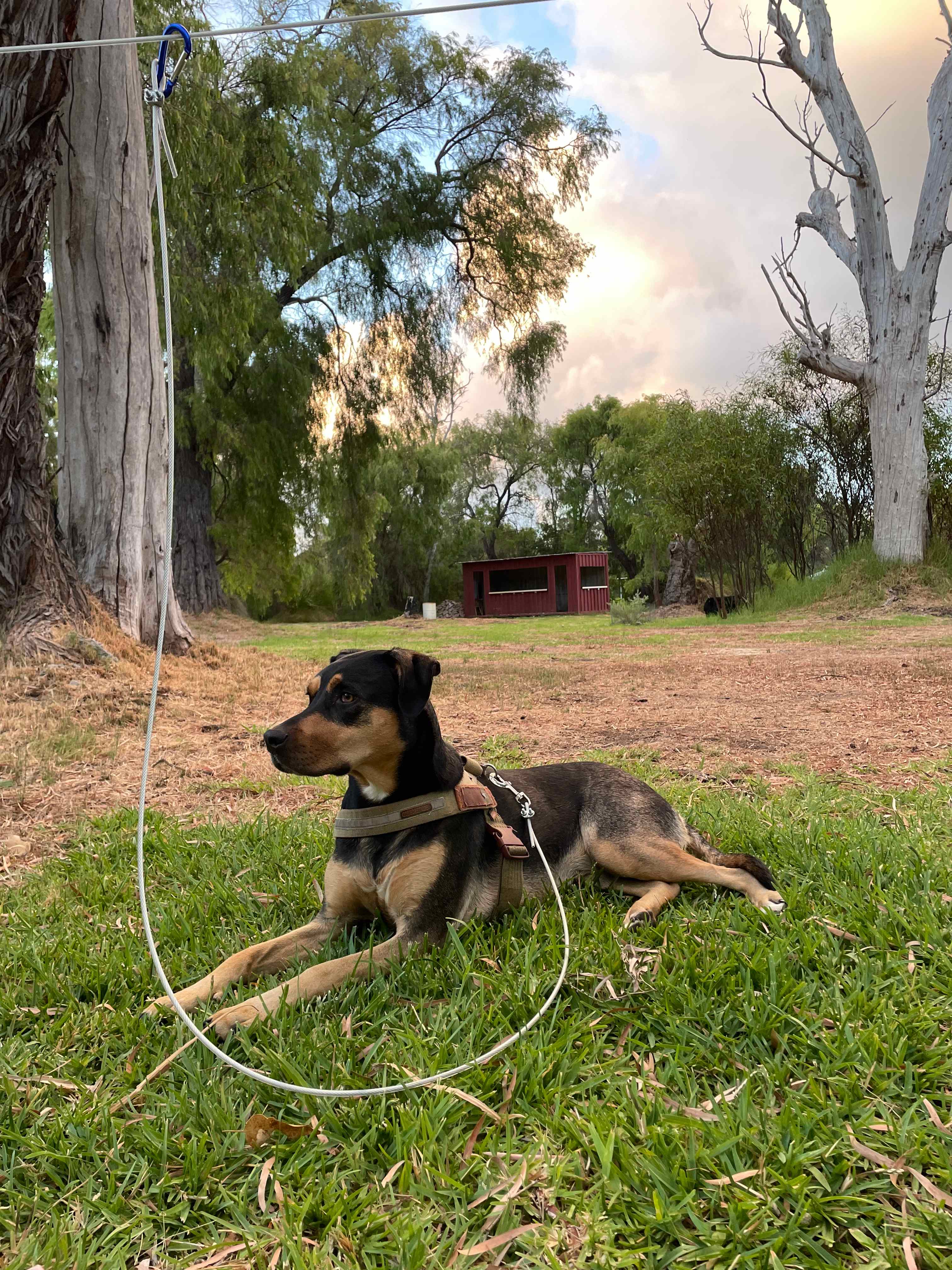 Paperbark Retreat