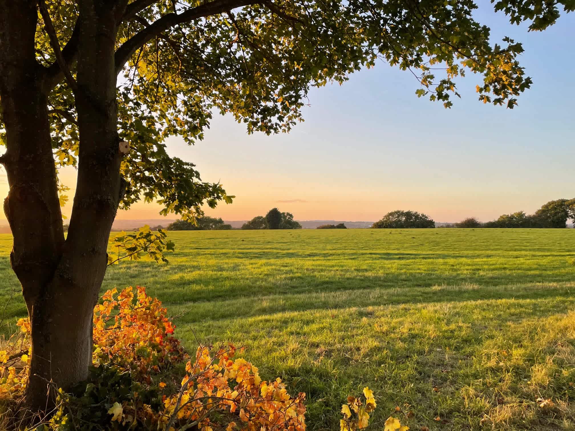 Millview Glamping, Camping & Events