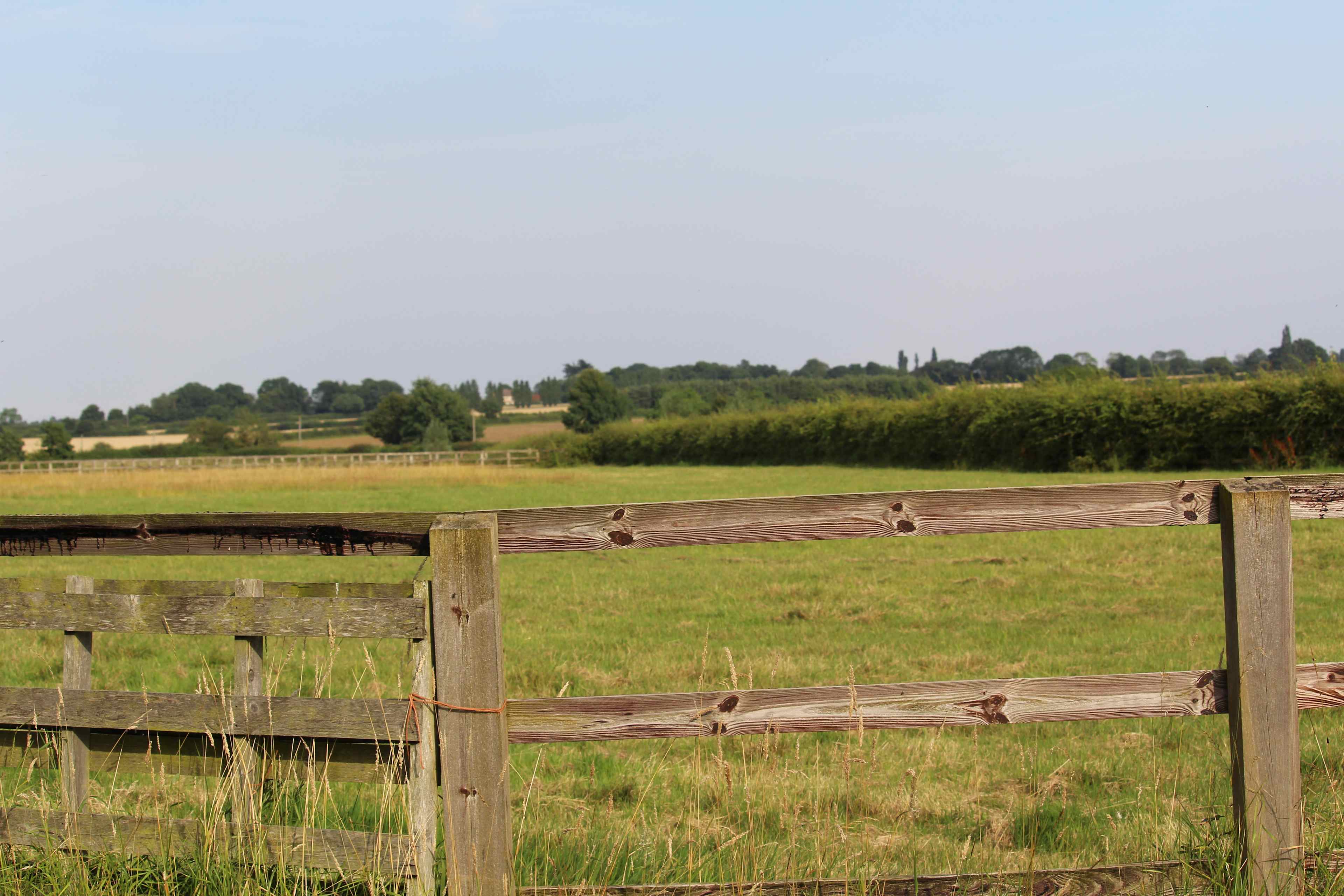 Freedom Farm Camping