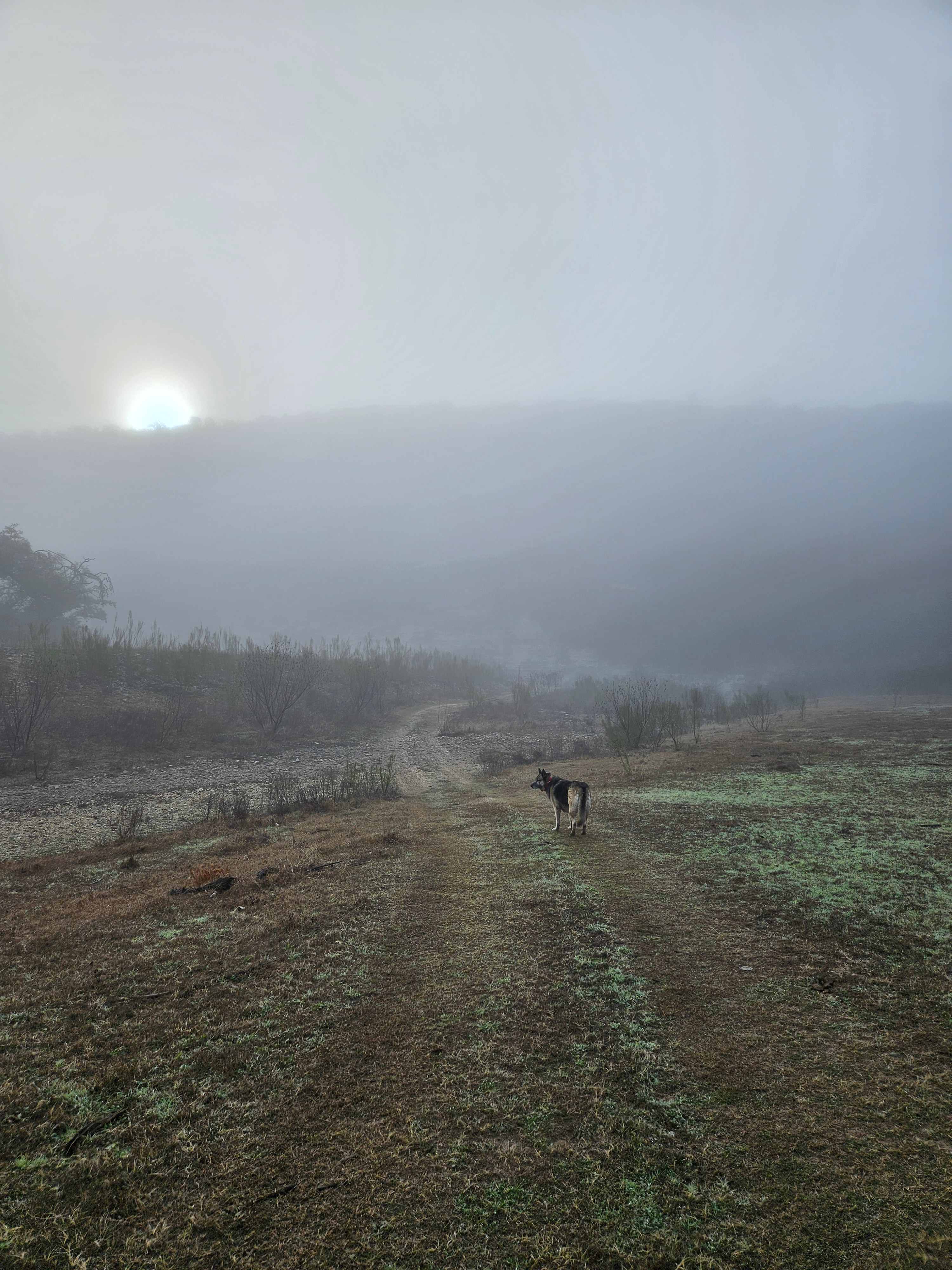 Haby Ranch