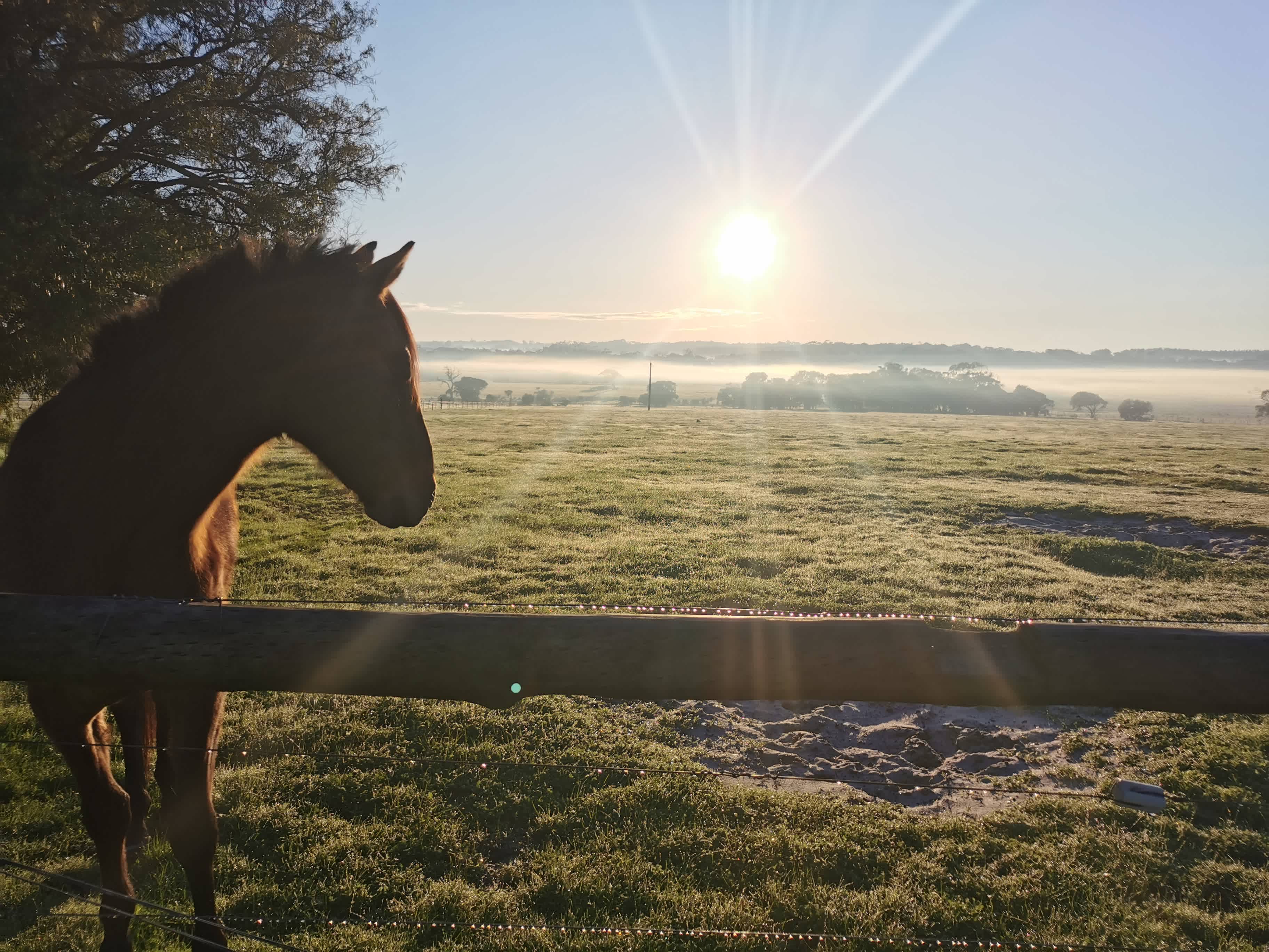 Deepdene Farmstay Camping