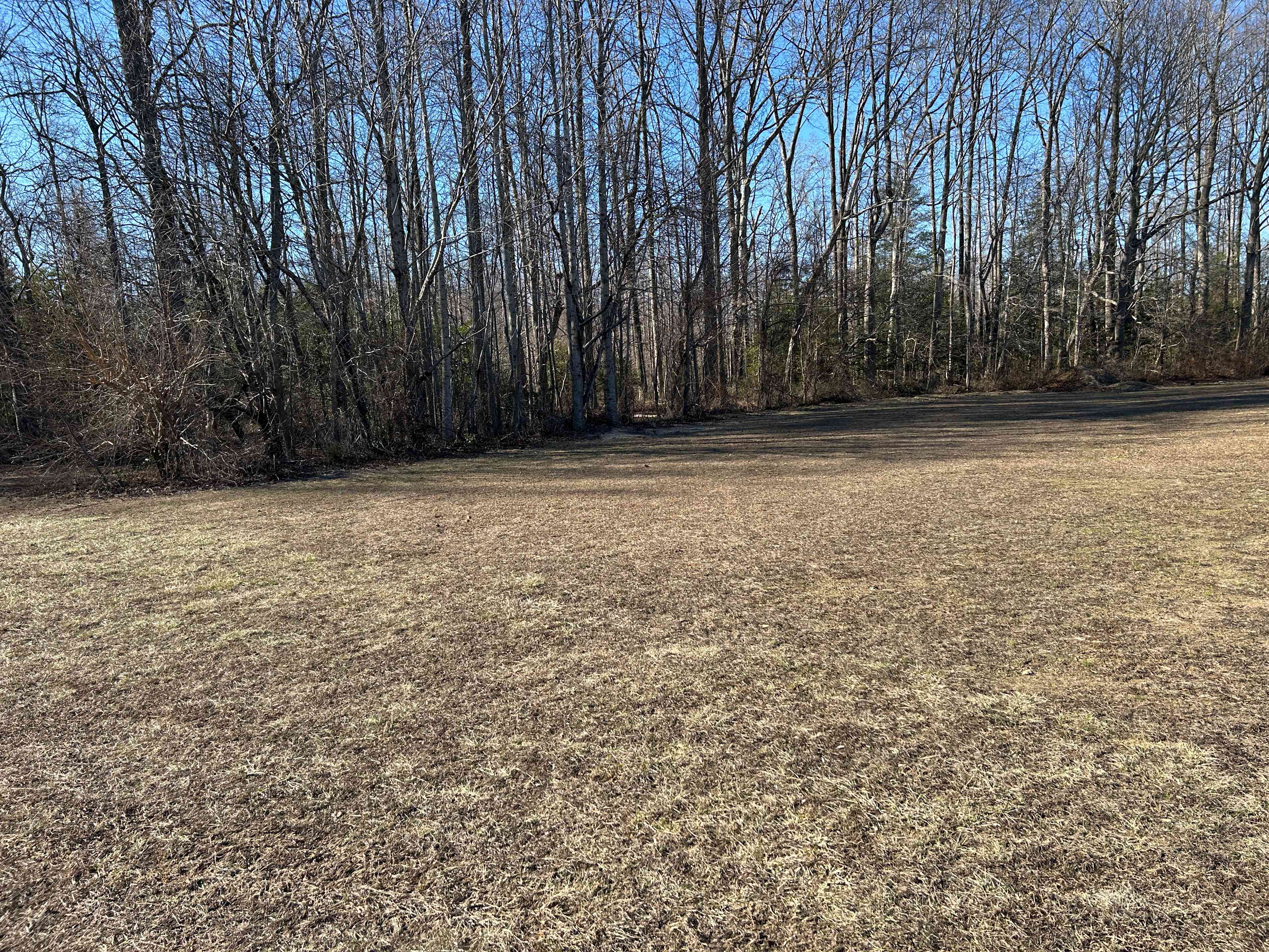 This is your camping area. Pick anywhere from the fence to the woods.