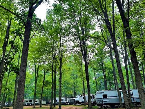 Overland RV Park