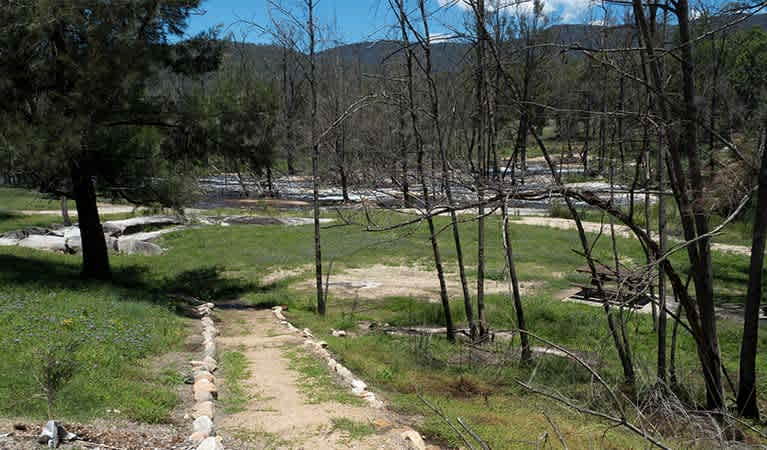 Mann River campground and picnic area