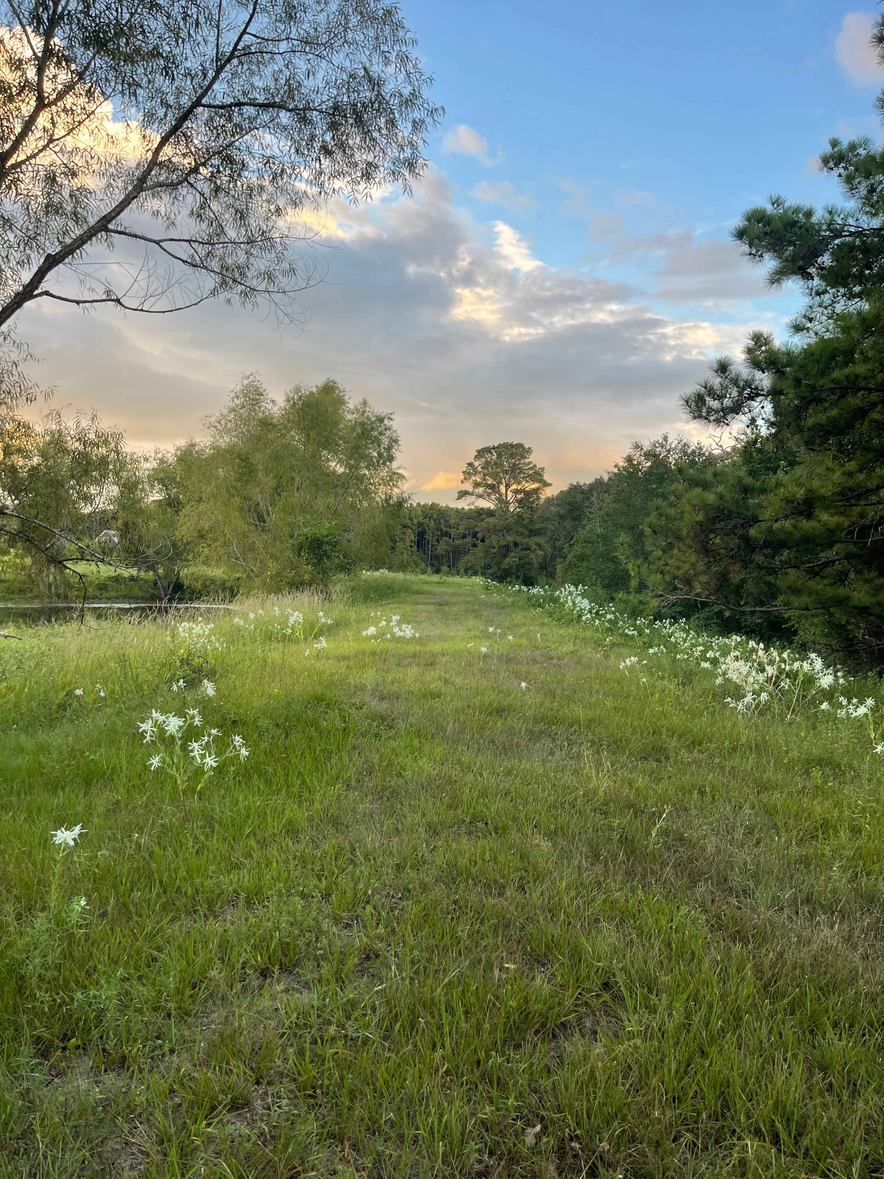 Stegles sanctuary