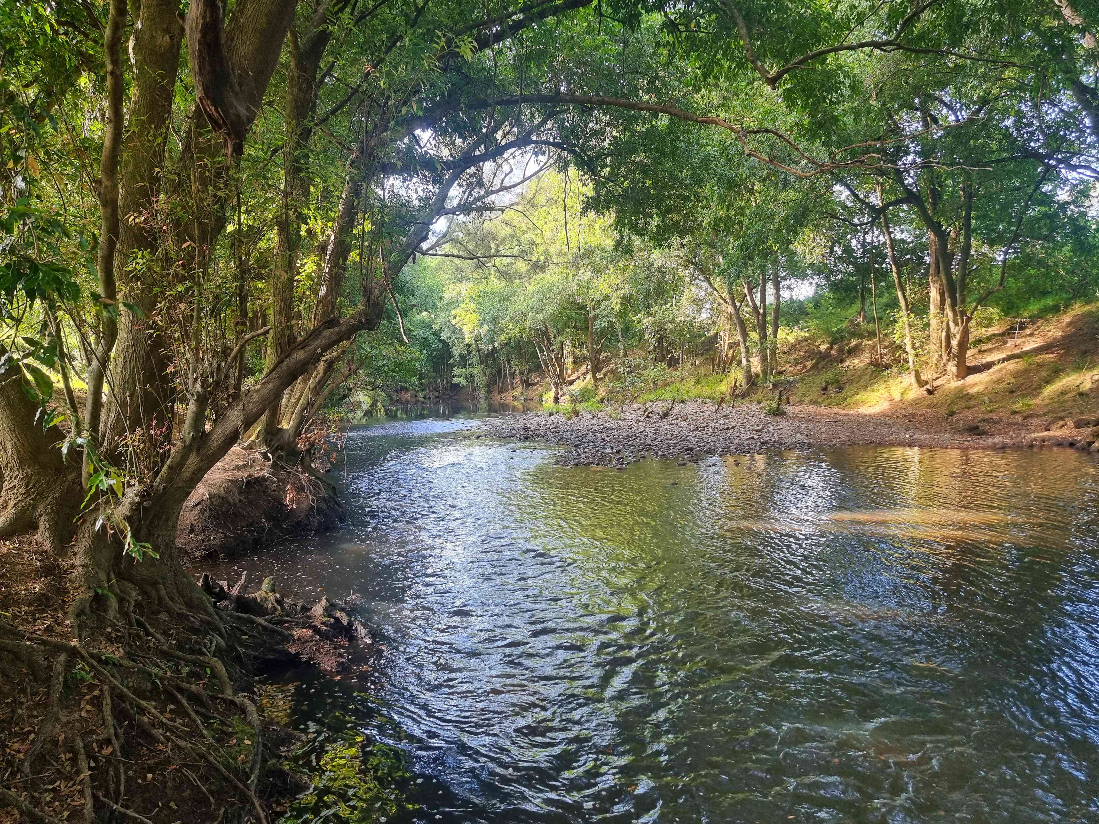 Willowbank