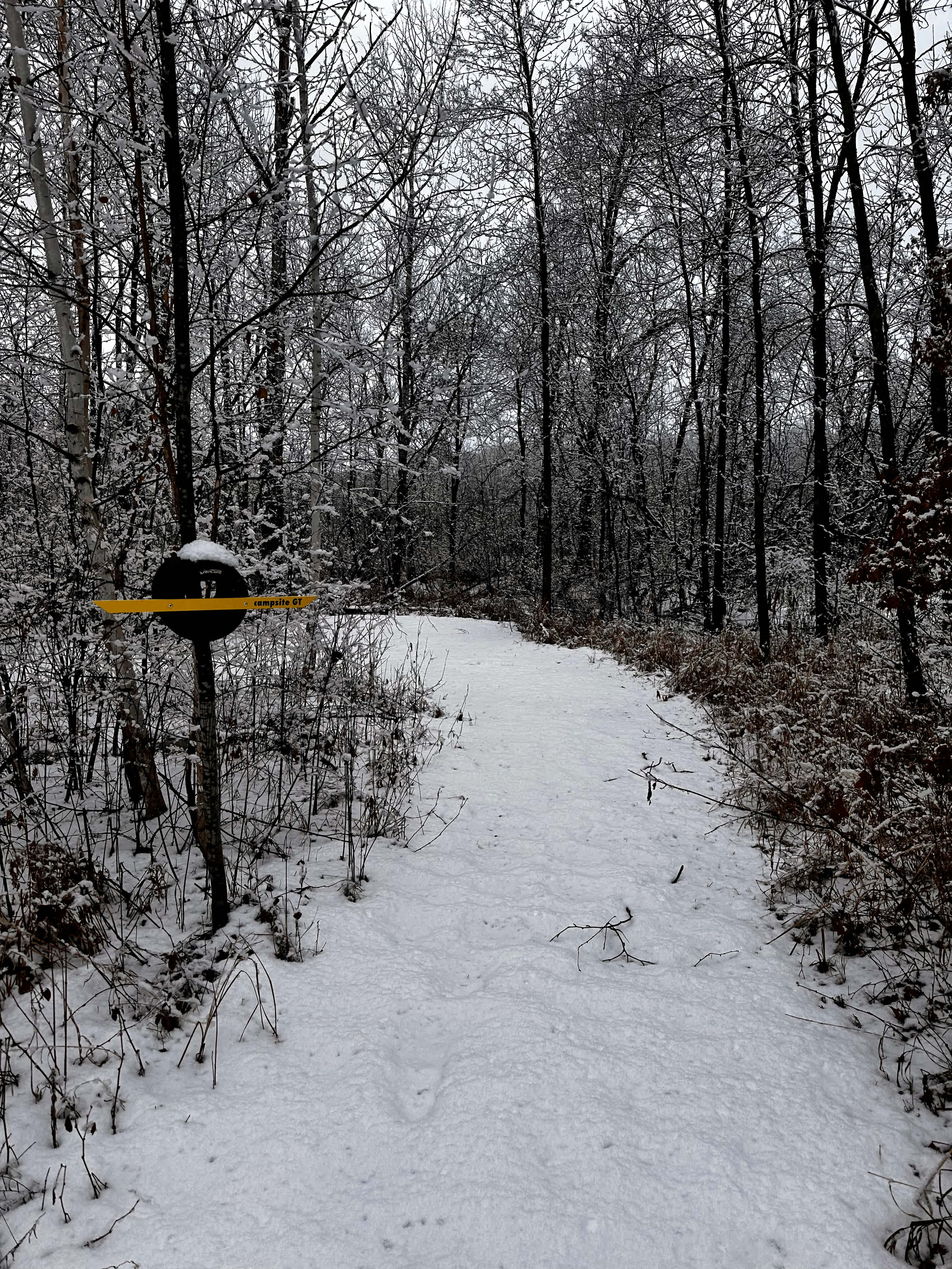 Entrance path into Campsite GT.