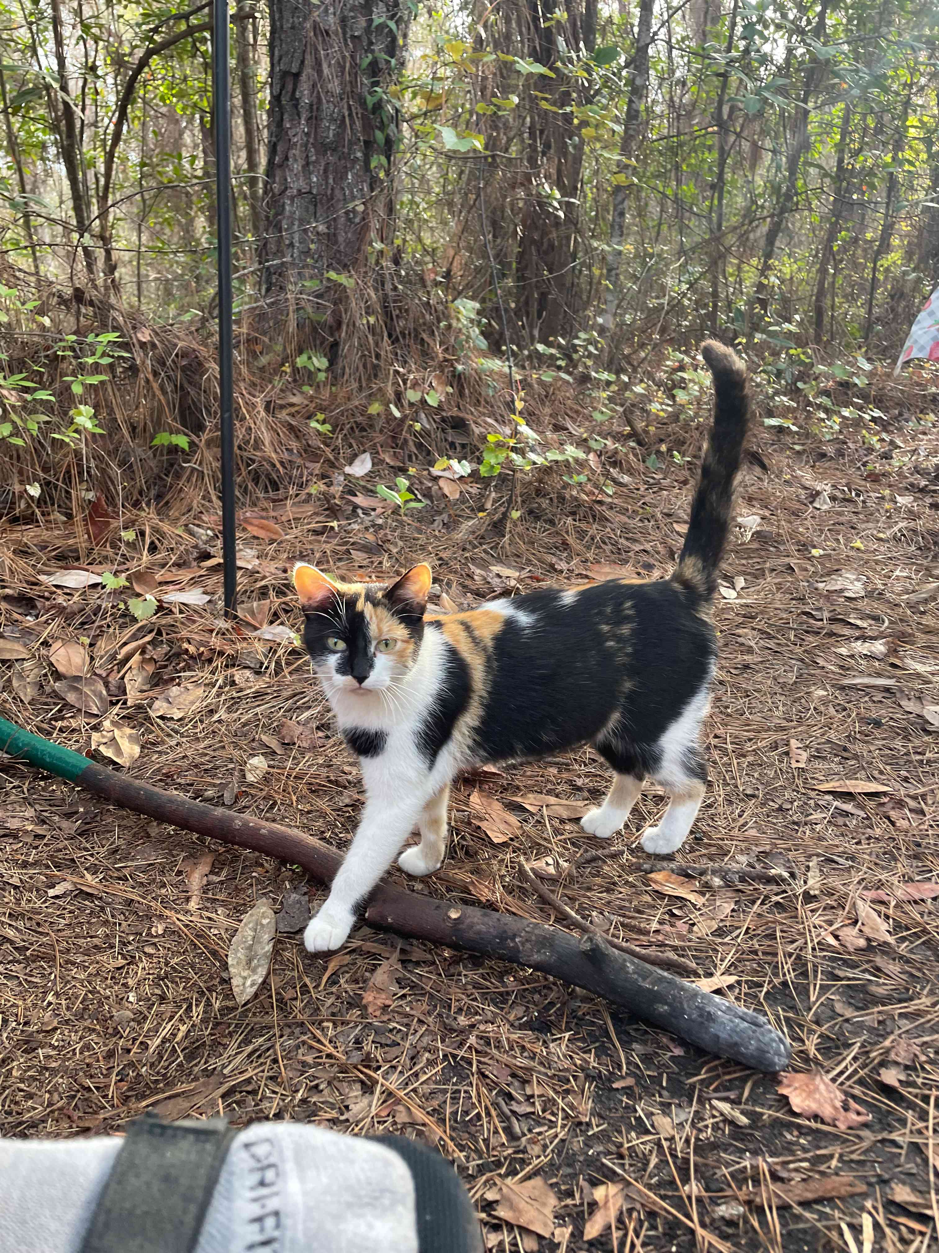 Our new friend!!
