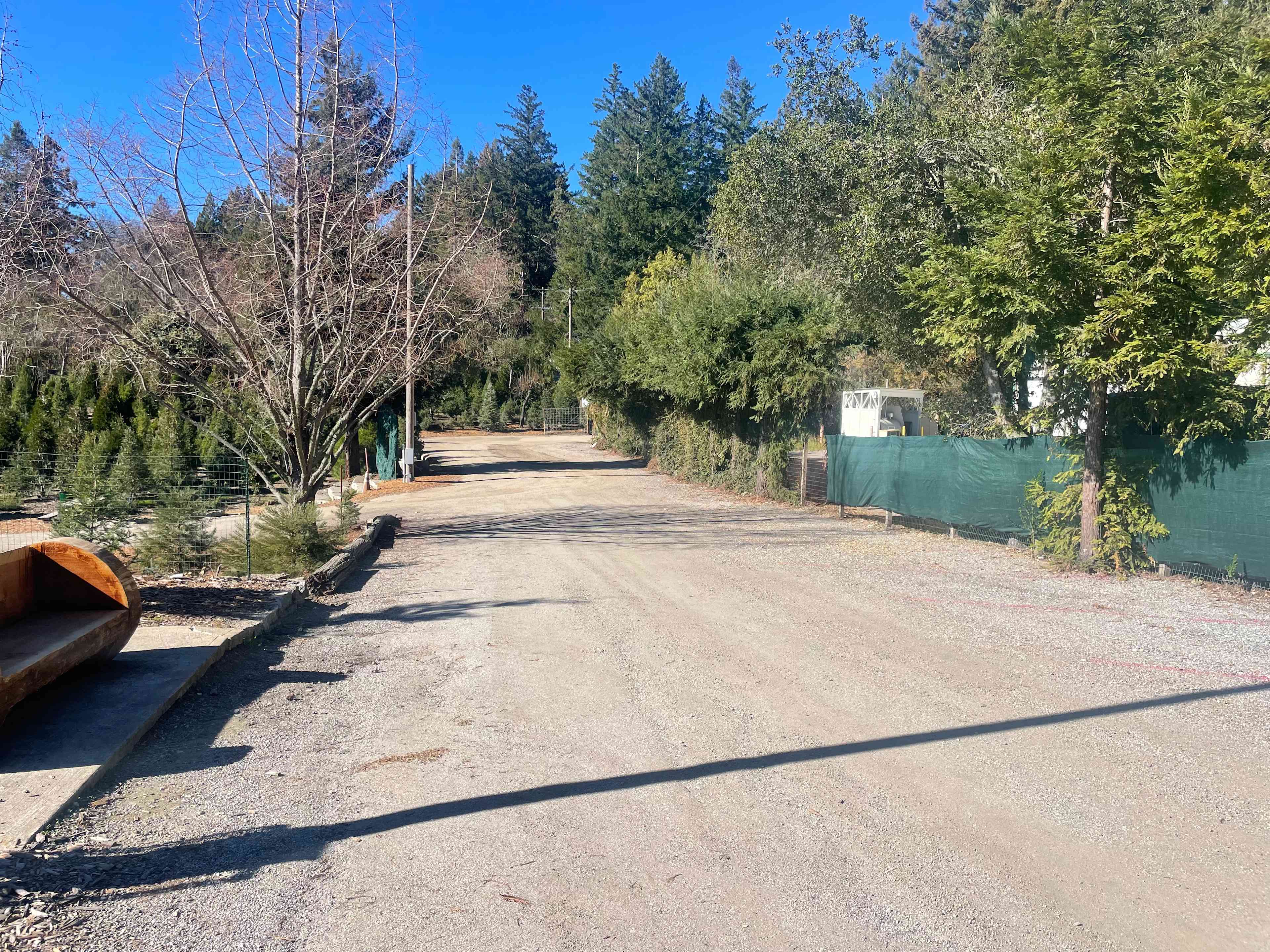 Patchen Christmas Tree Farm