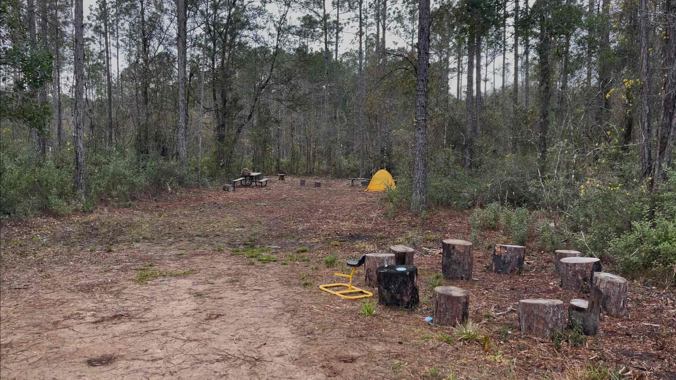 Florida Wildlands