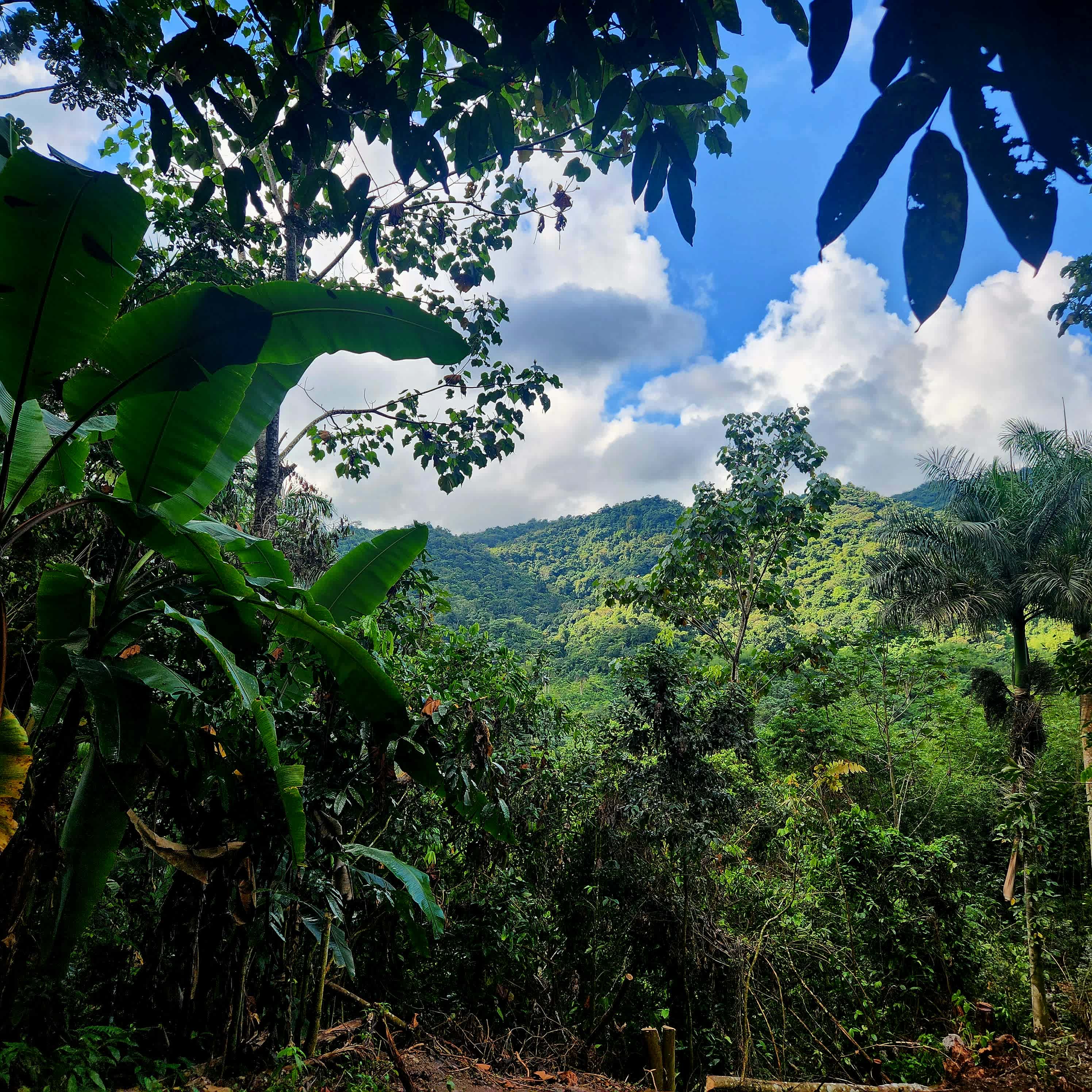 Sumer Farms: Sacred Soil Sanctuary