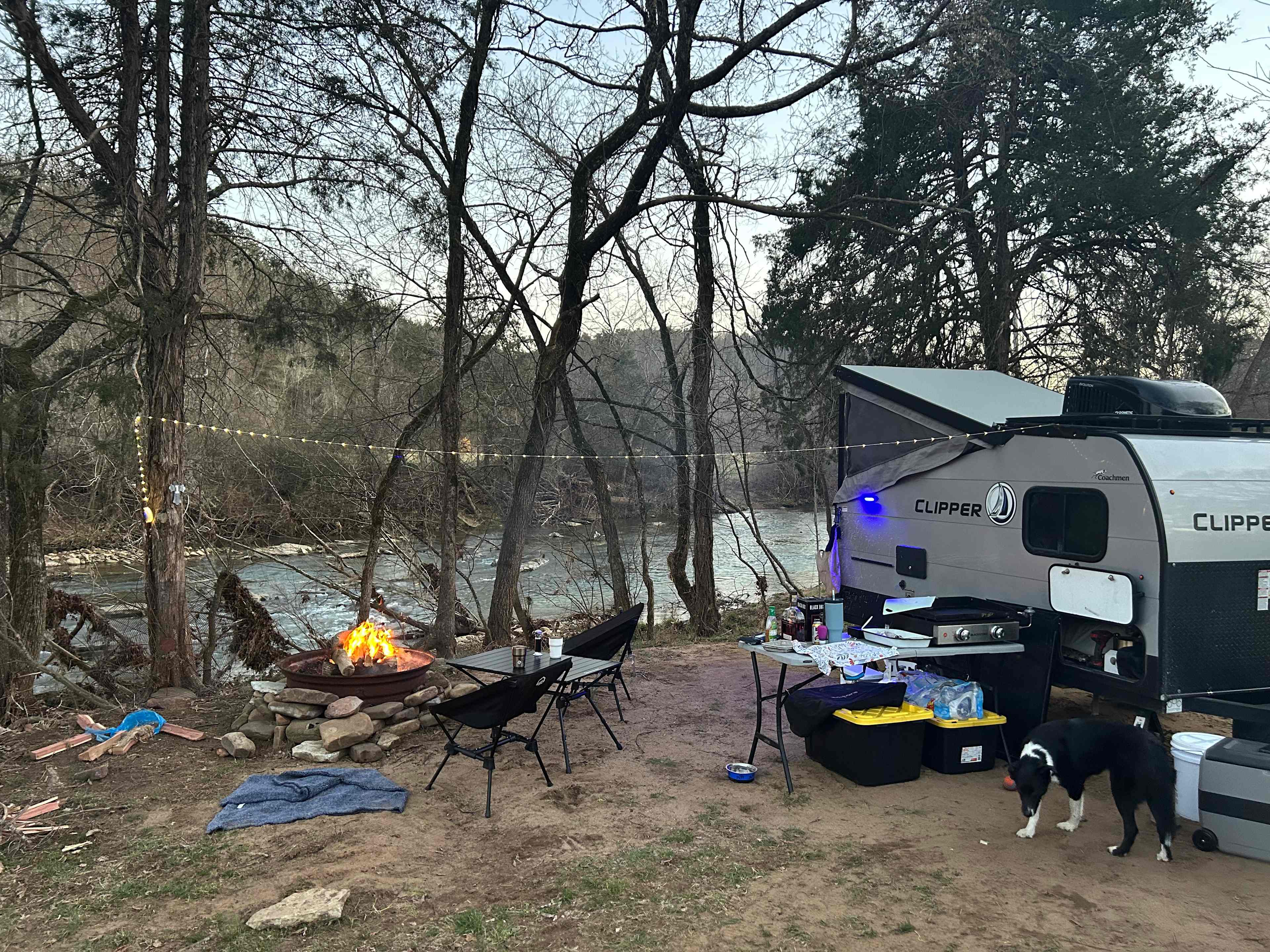 Site 1