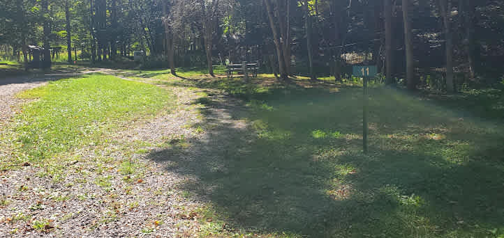 Site #11  9/24