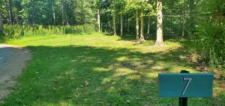 Site #7  9/24