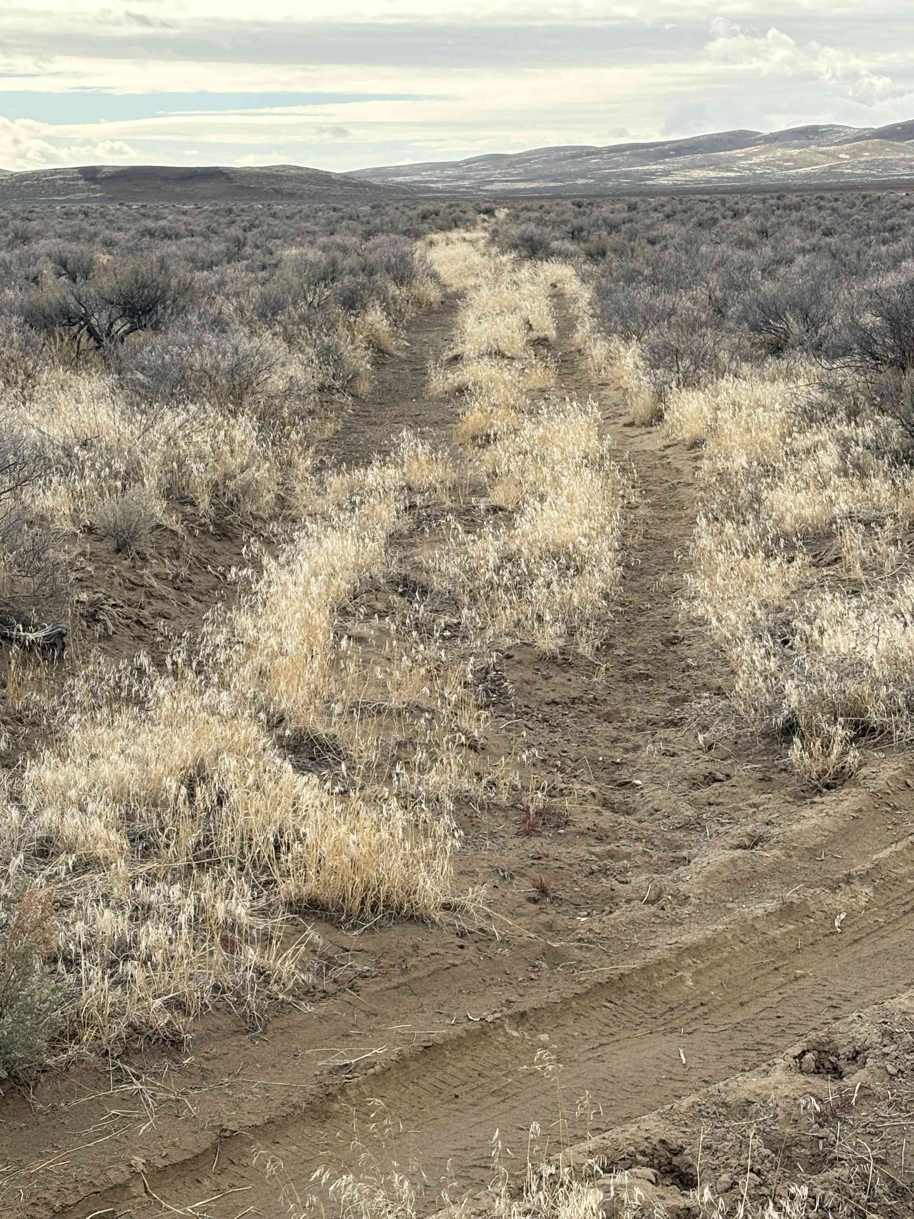Ongster Lands Rio Grande River