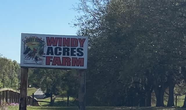 Windy Acres