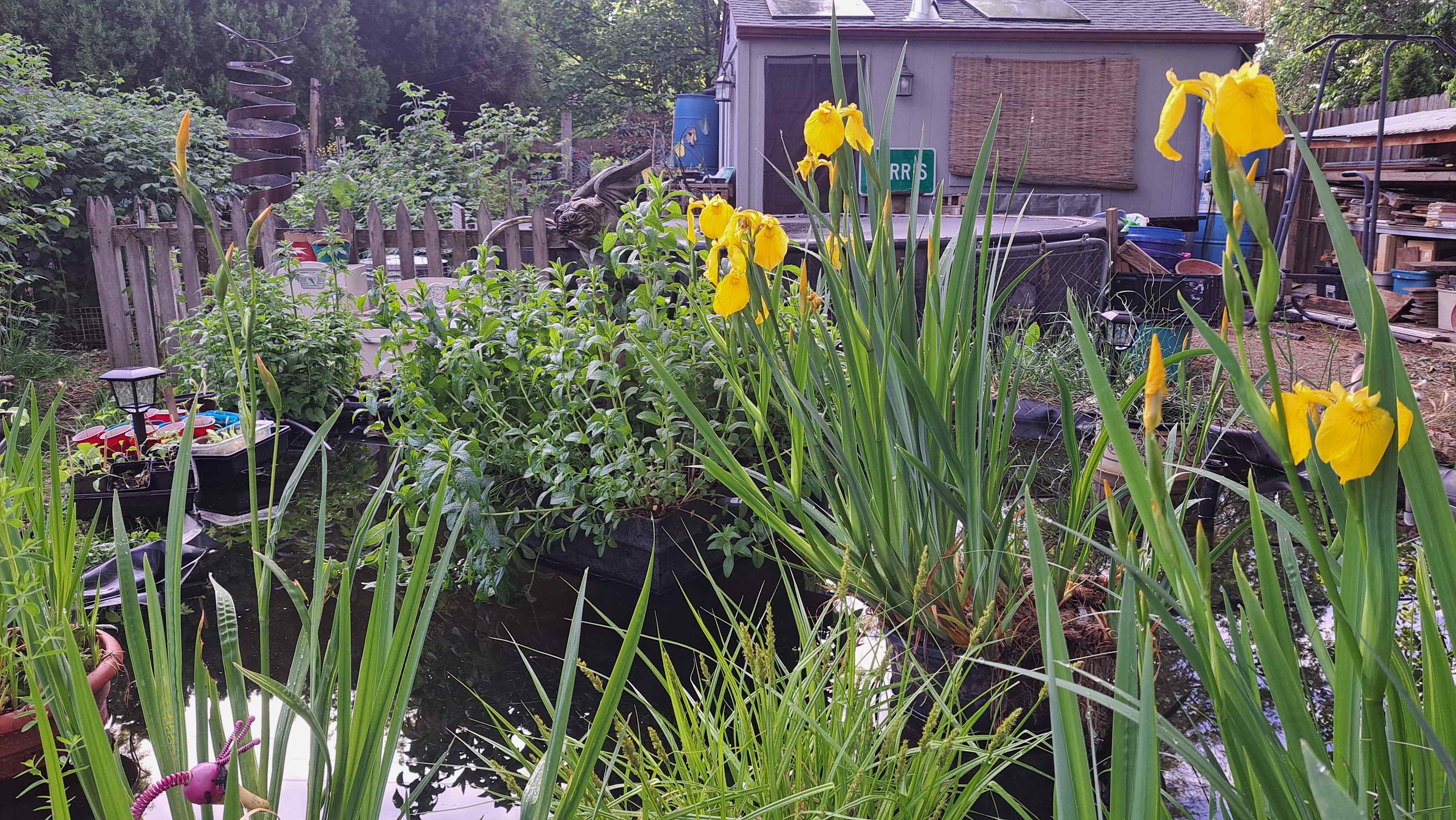 Homestead Sanctuary