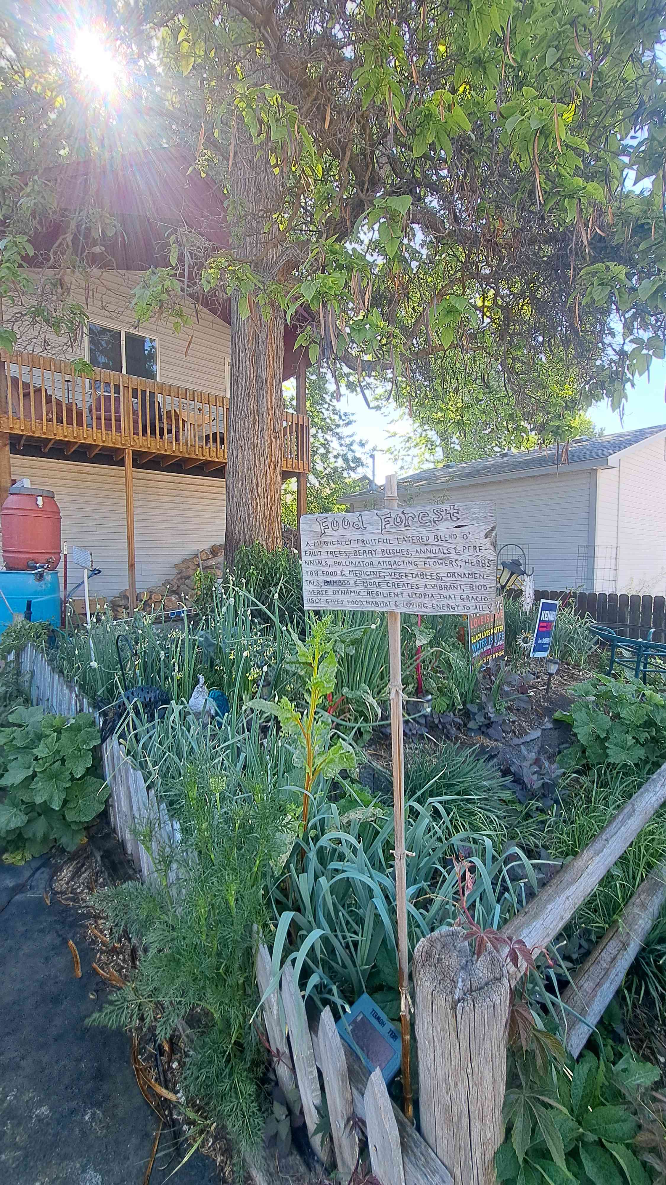 Homestead Sanctuary