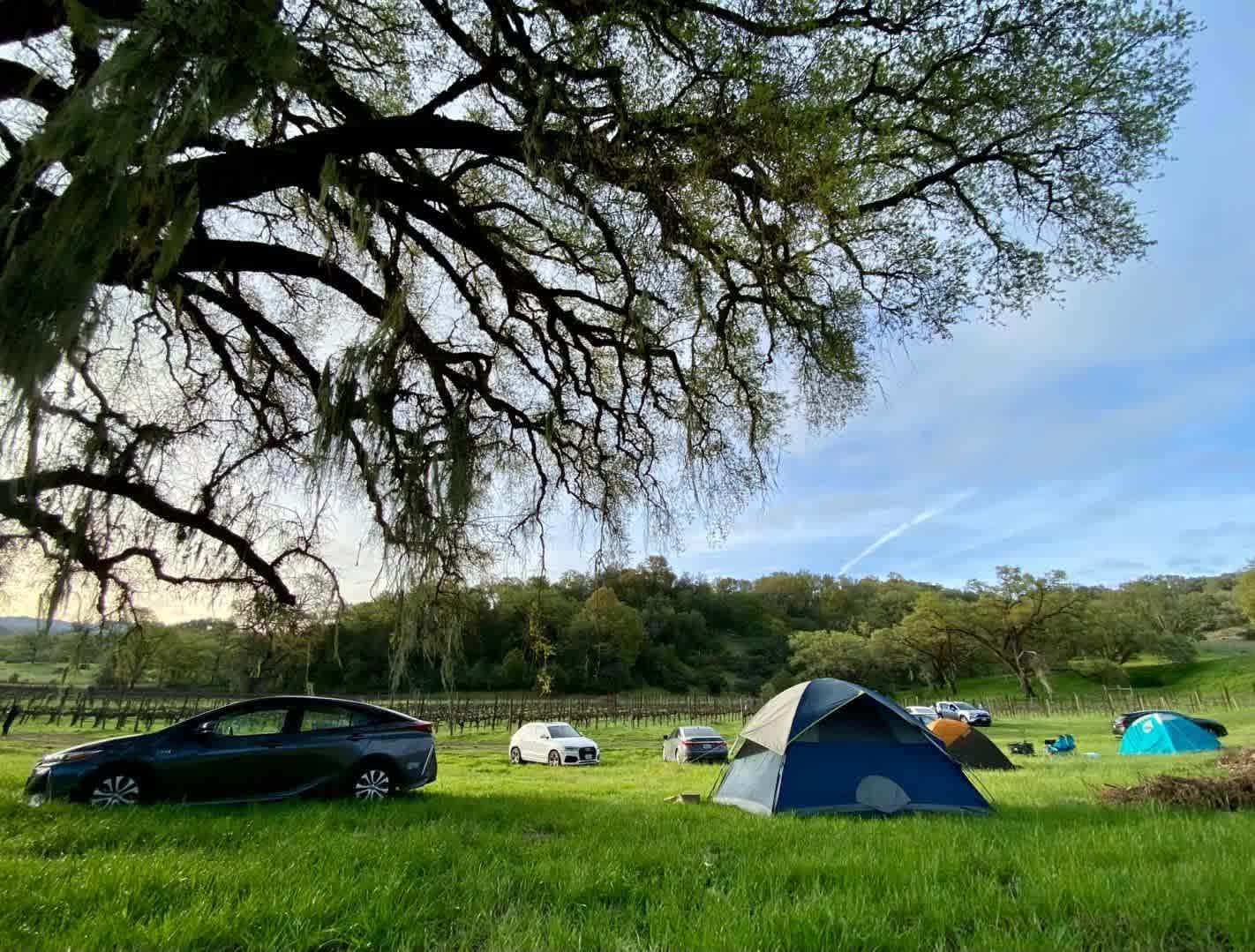 Duncan Peak Vineyards