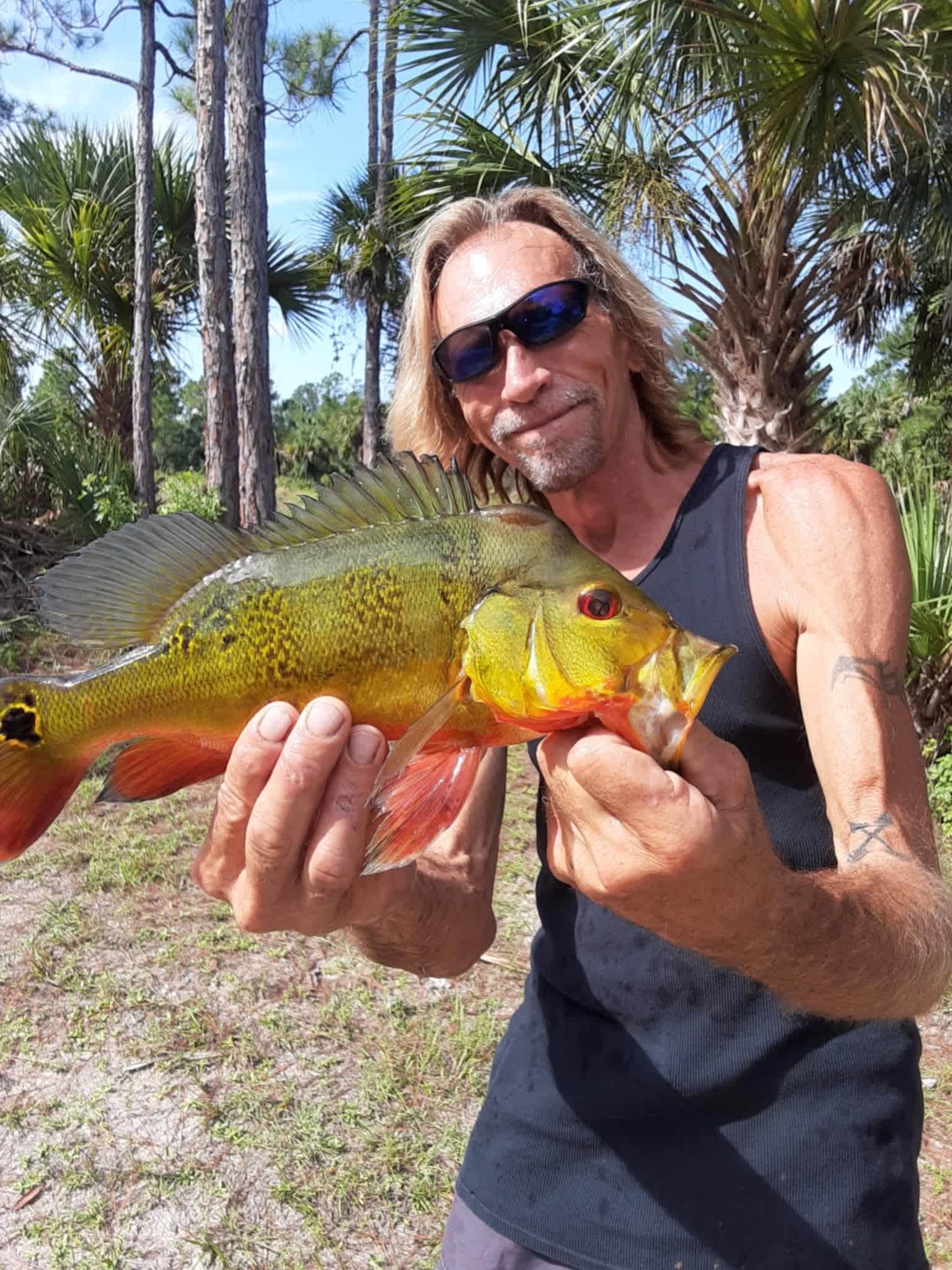 Everglades Fish Camp,  Naples FL