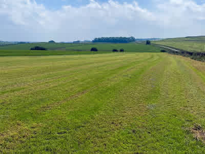 Damside Campsite