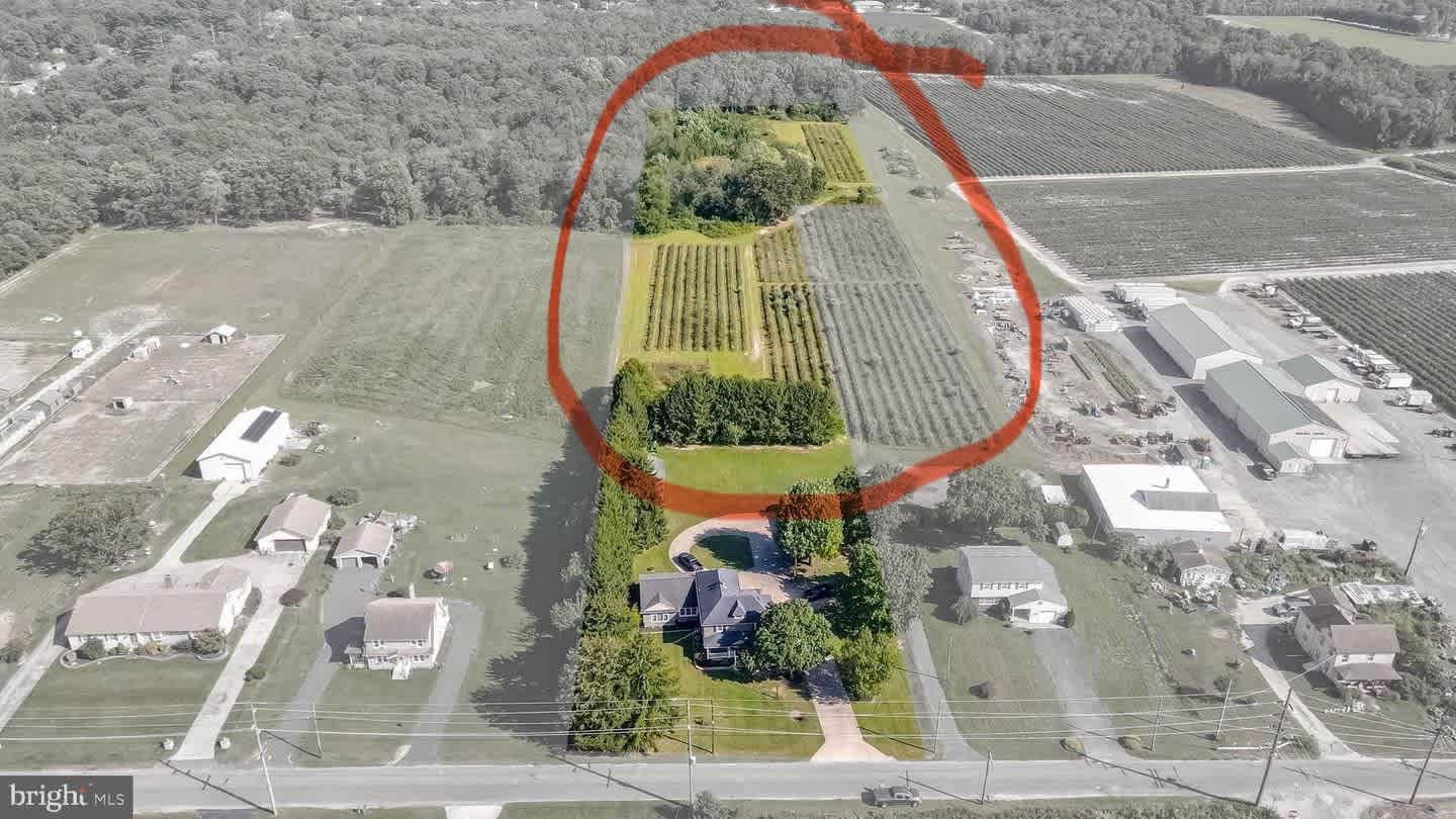 Double Dog Farm