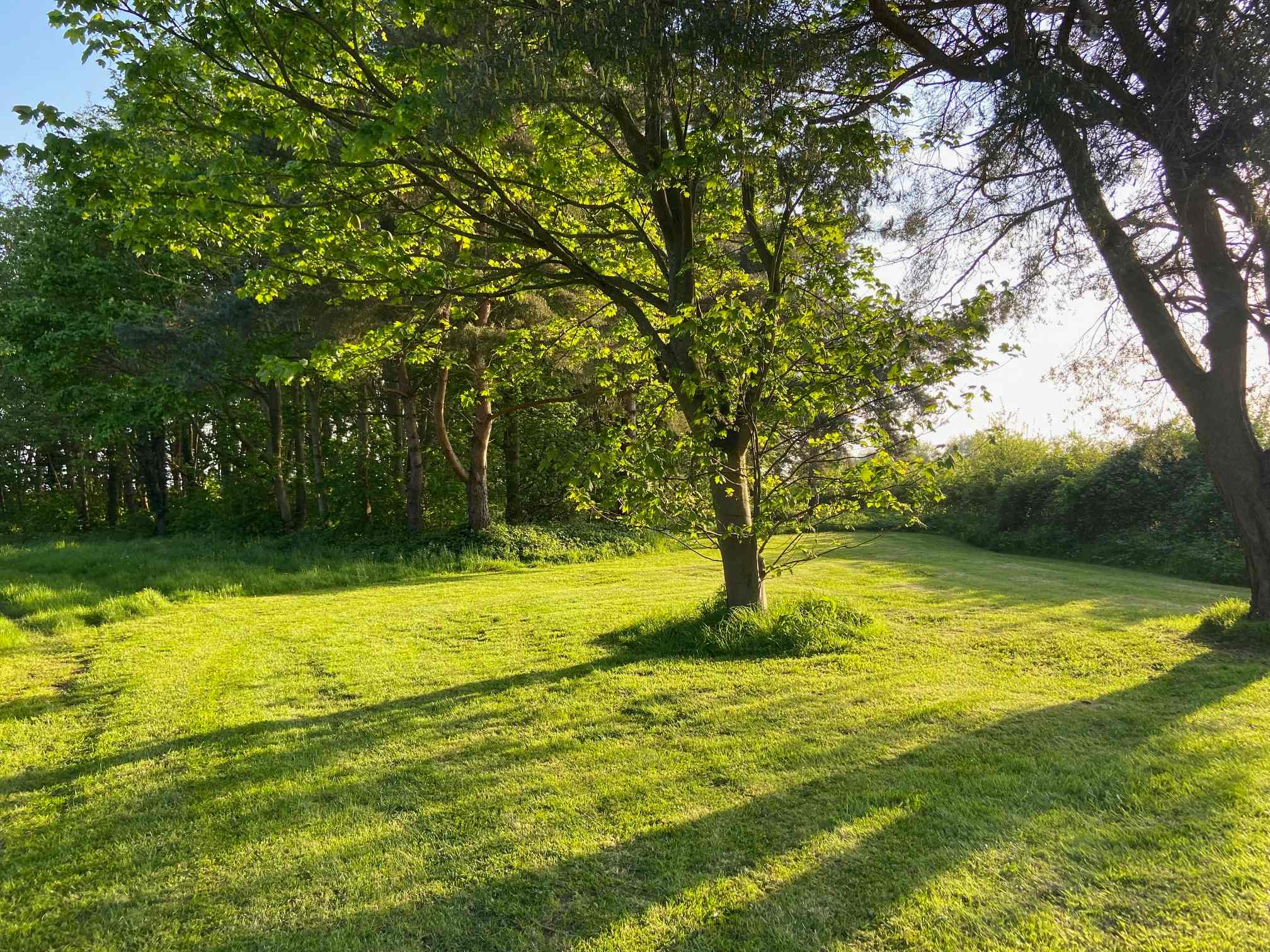 Millview Glamping, Camping & Events